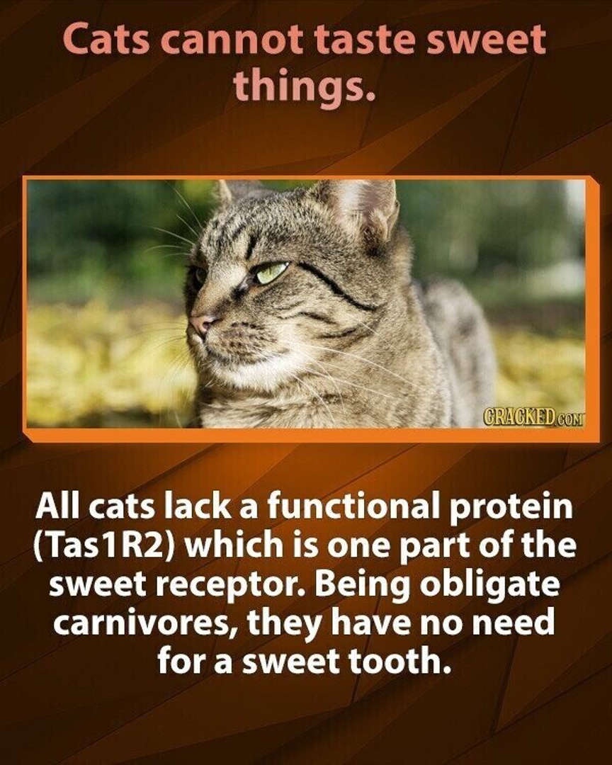 I respect science, but I have my doubts...