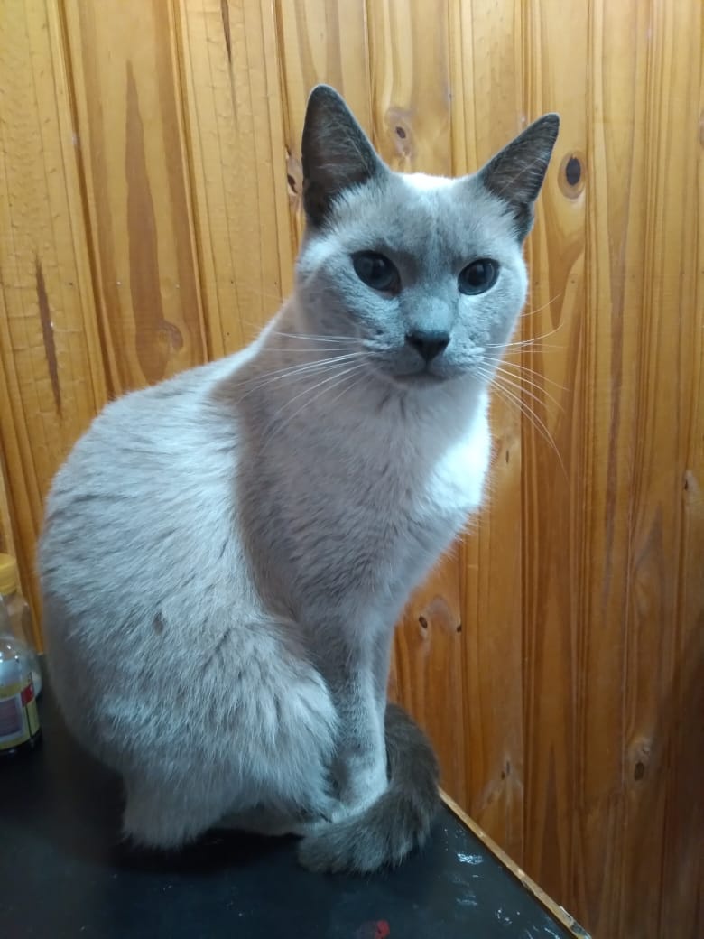 More Photos of My Baby: Why Are They Getting Deleted?