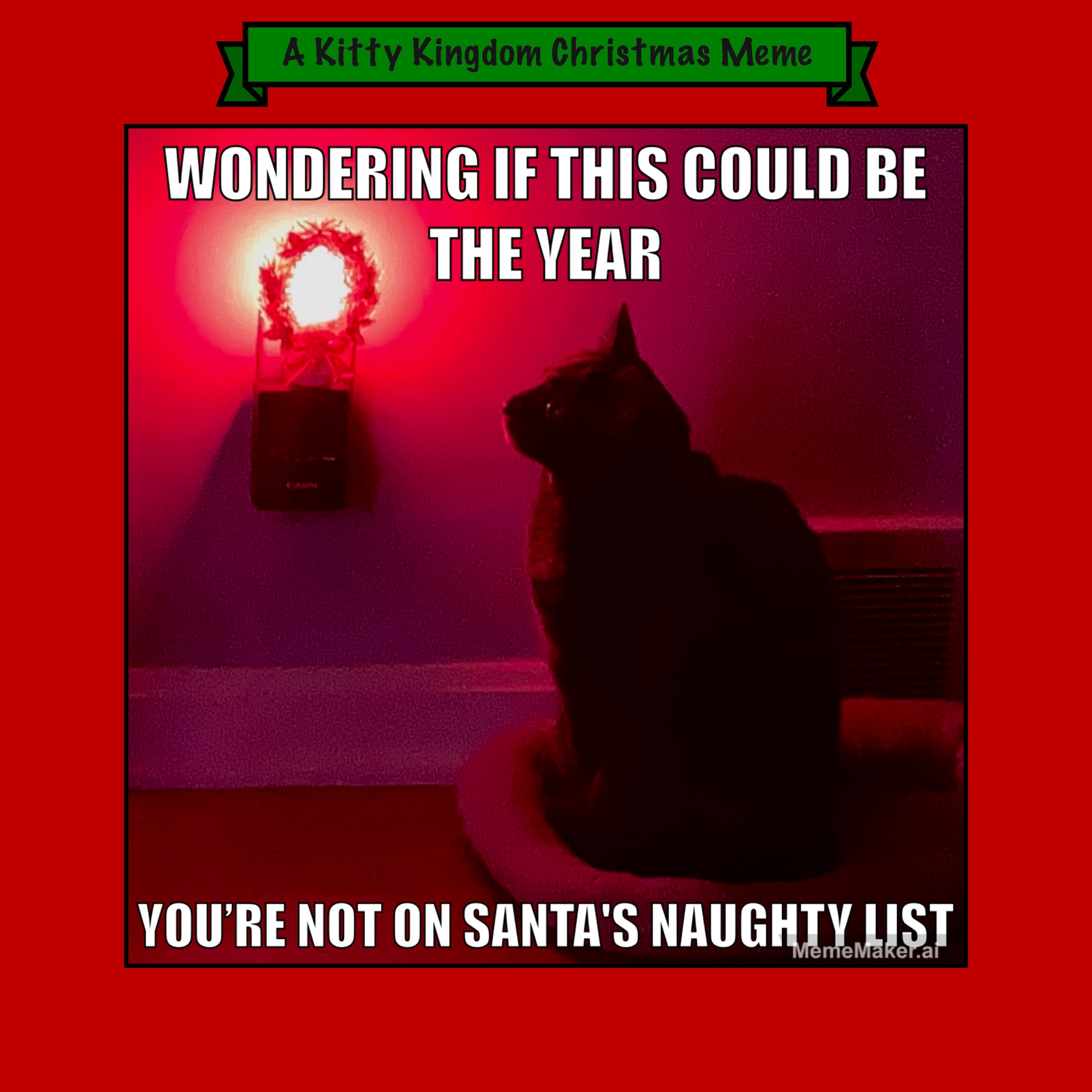 Counting Down to Christmas in the Kitty Kingdom: Day 12