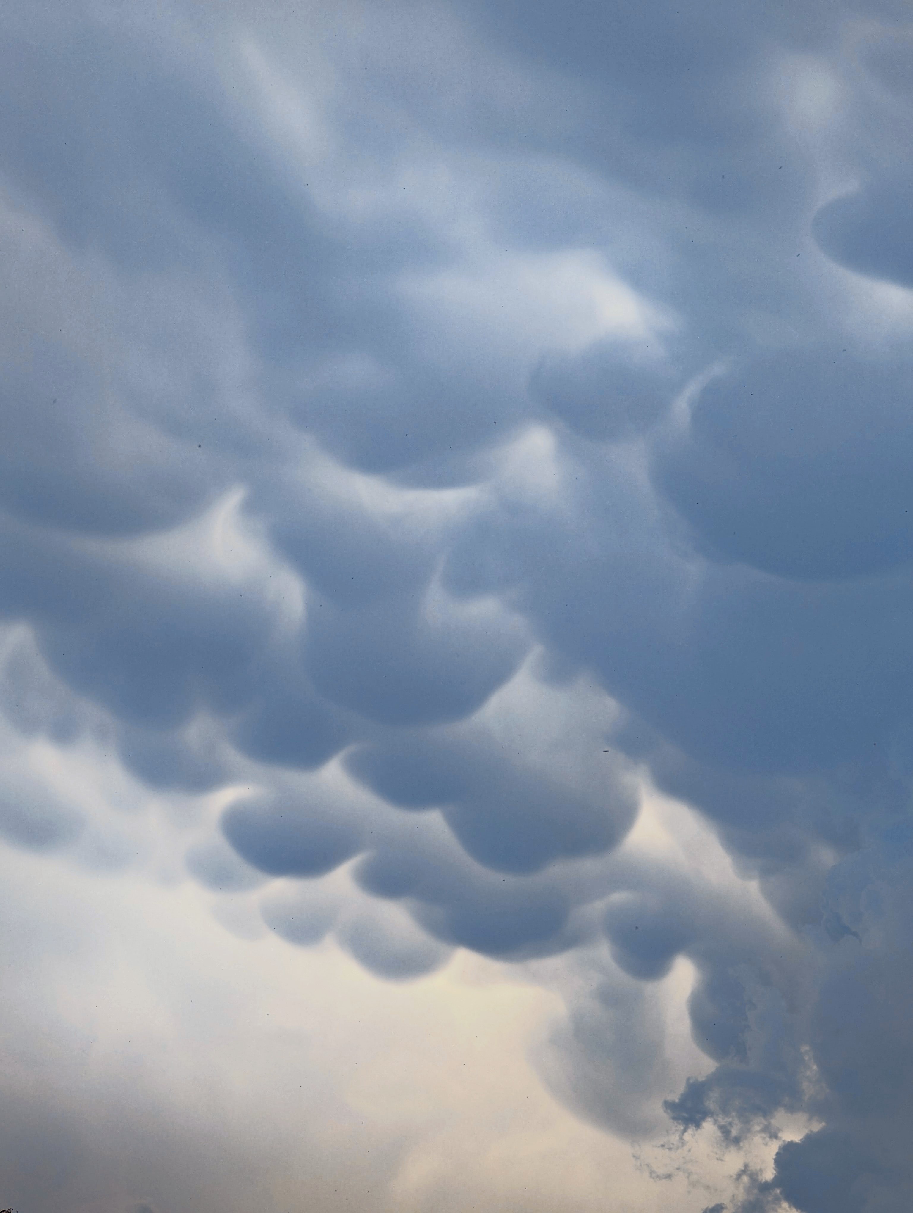 Stunning Mammatus Clouds Over the Blue Mountains