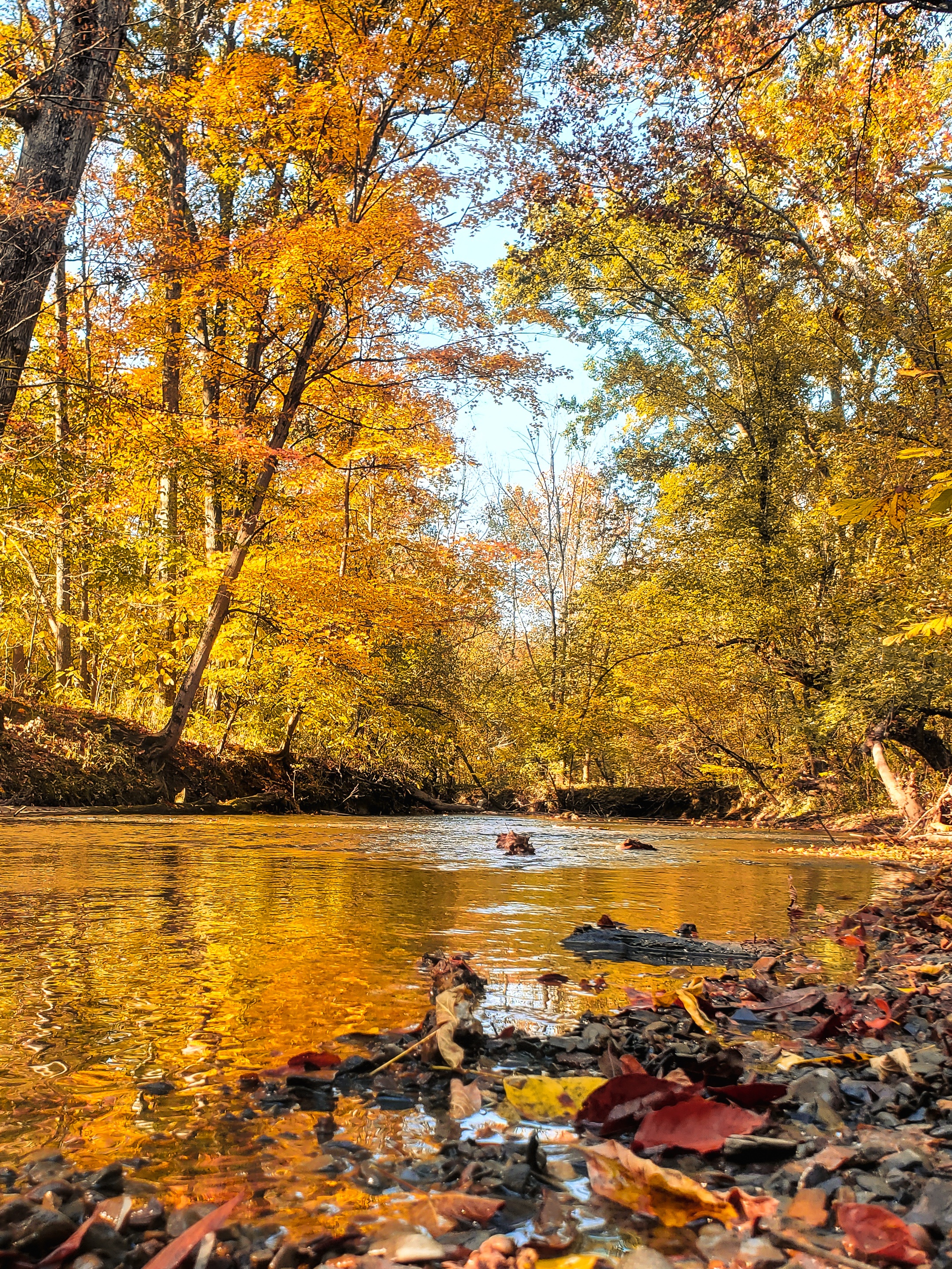 The Beauty of Autumn Colors