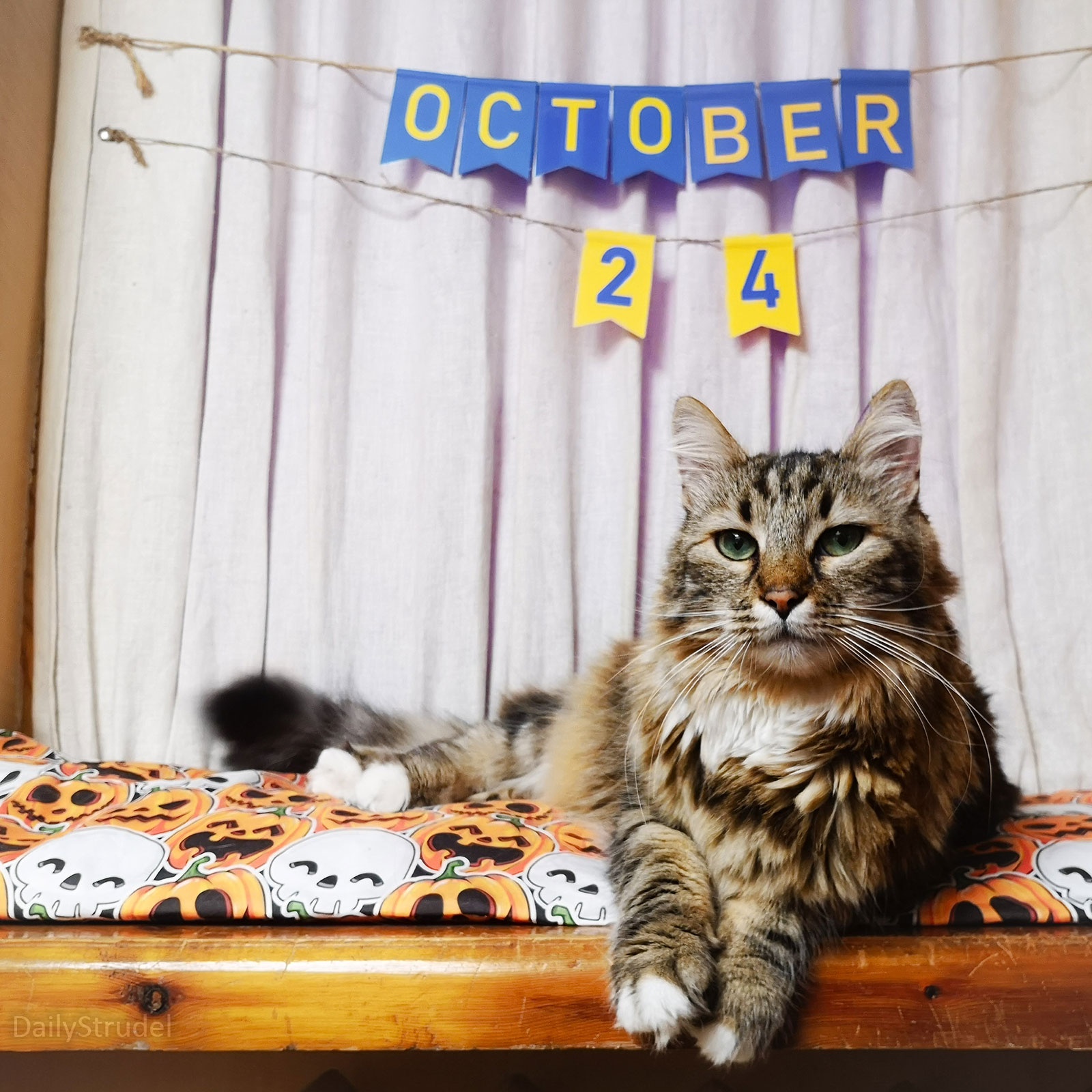 Mark your calendars for October 2nd!