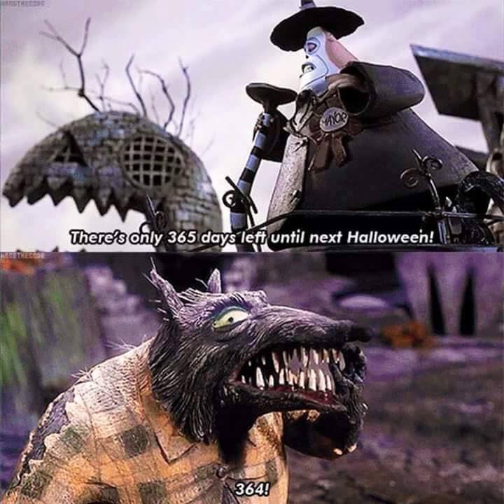 Spooky Season Wraps Up: Counting Down to Next Halloween Begins!