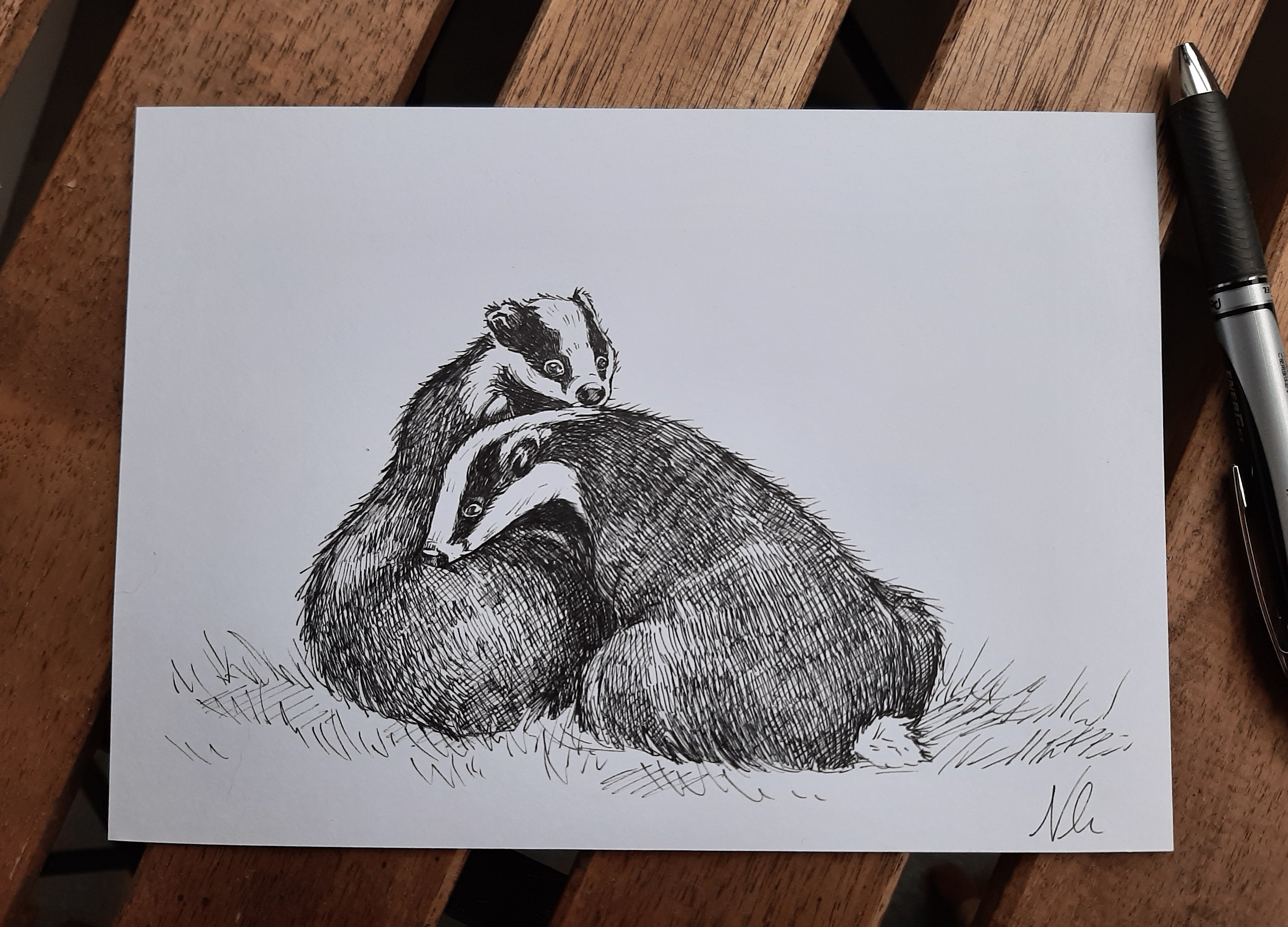 My Artistic Attempt: Two Badgers in the Wild