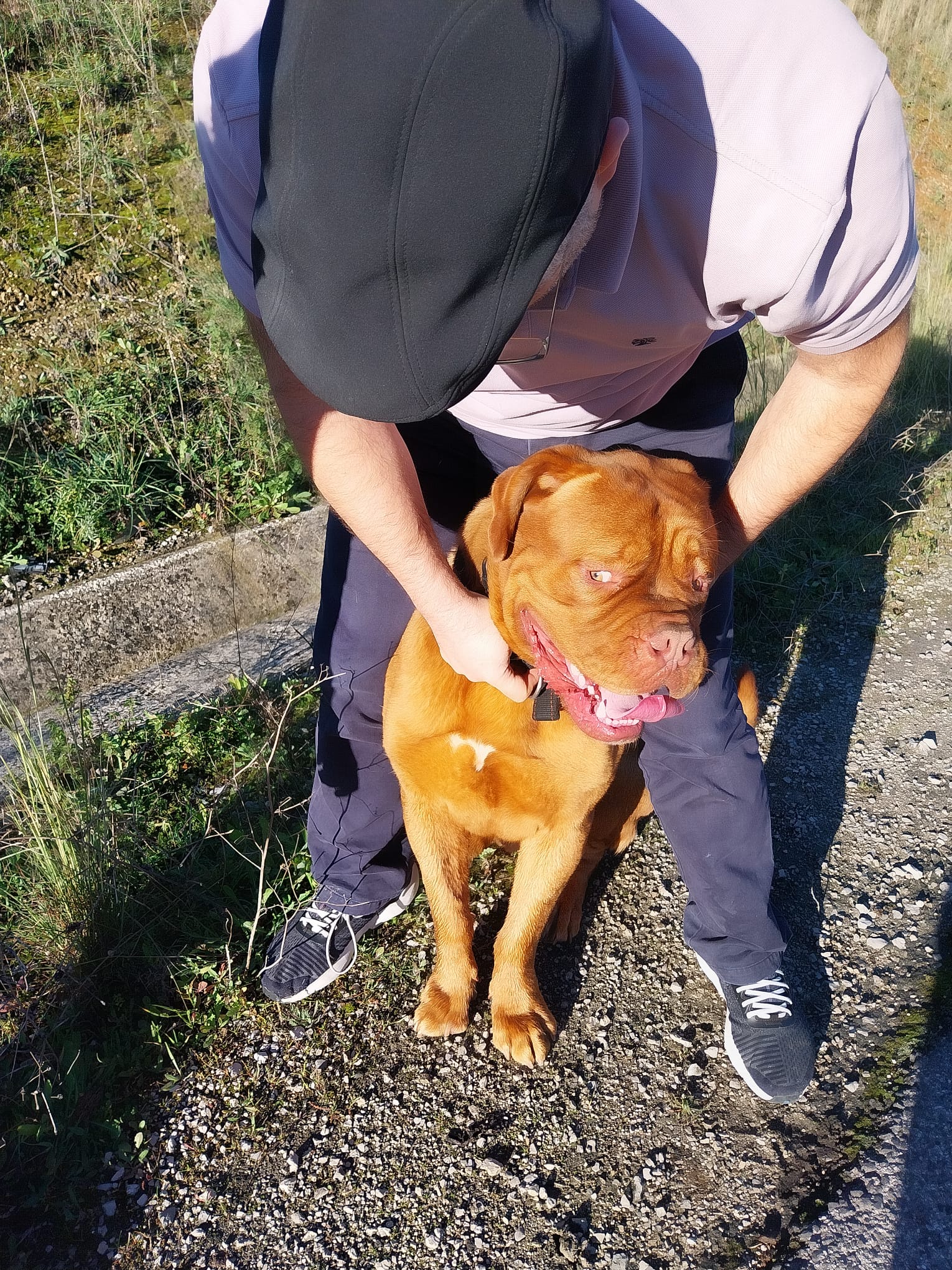 Just a Puppy Being Adorable...