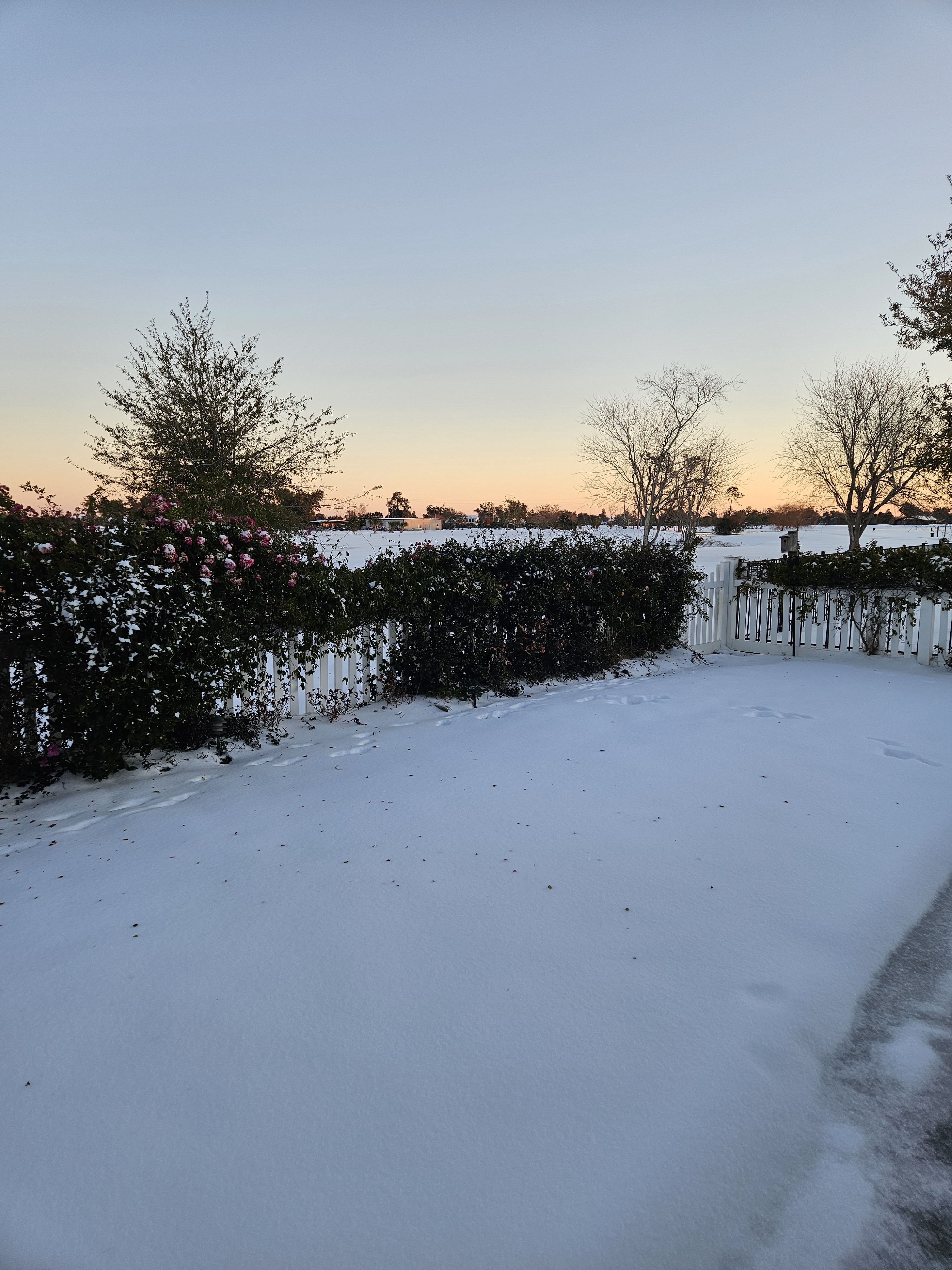 Unexpected Snowfall in Florida