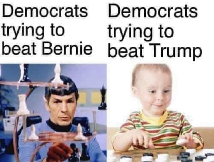 Meet the Berniedems: A Political Meme Journey