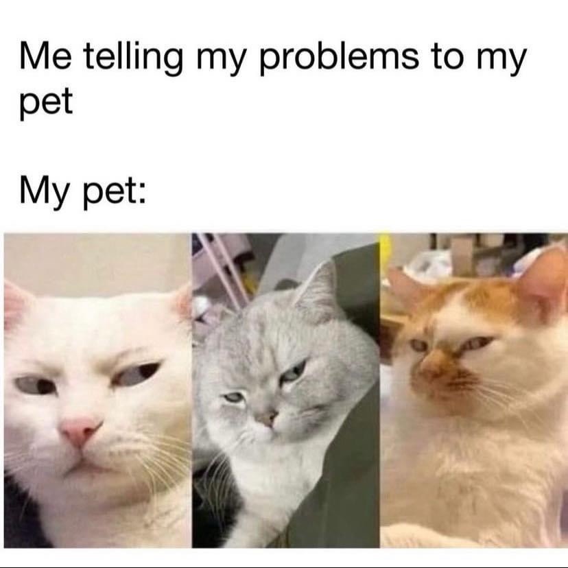 Honestly, I couldn't care less.