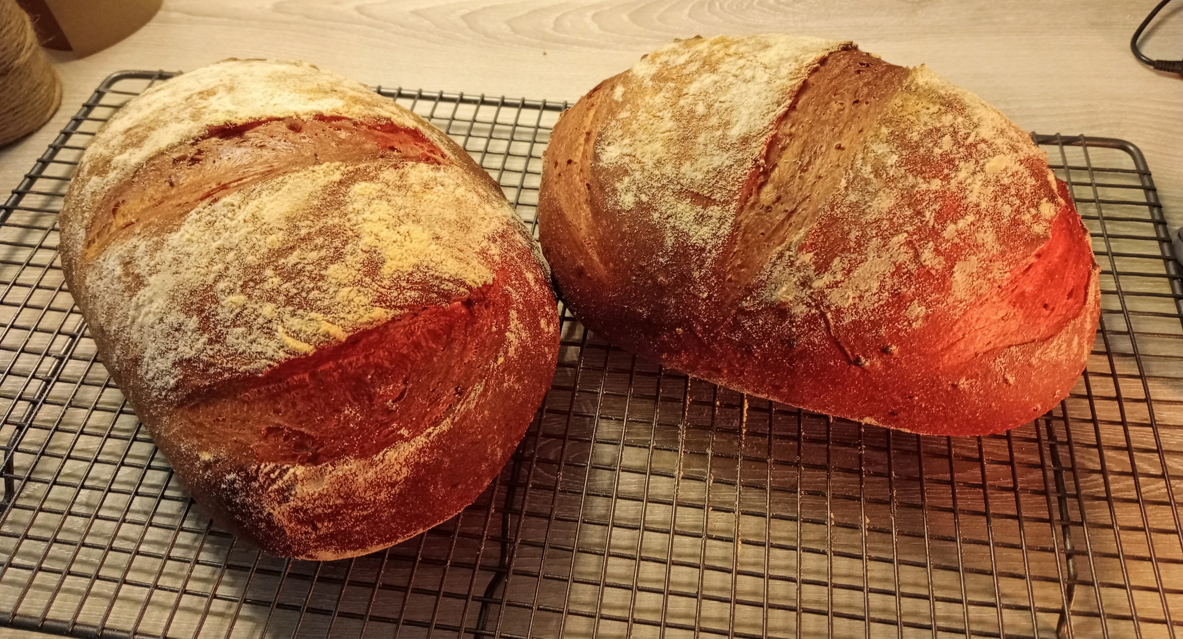 From Hobby to Business: My Baking Adventure!