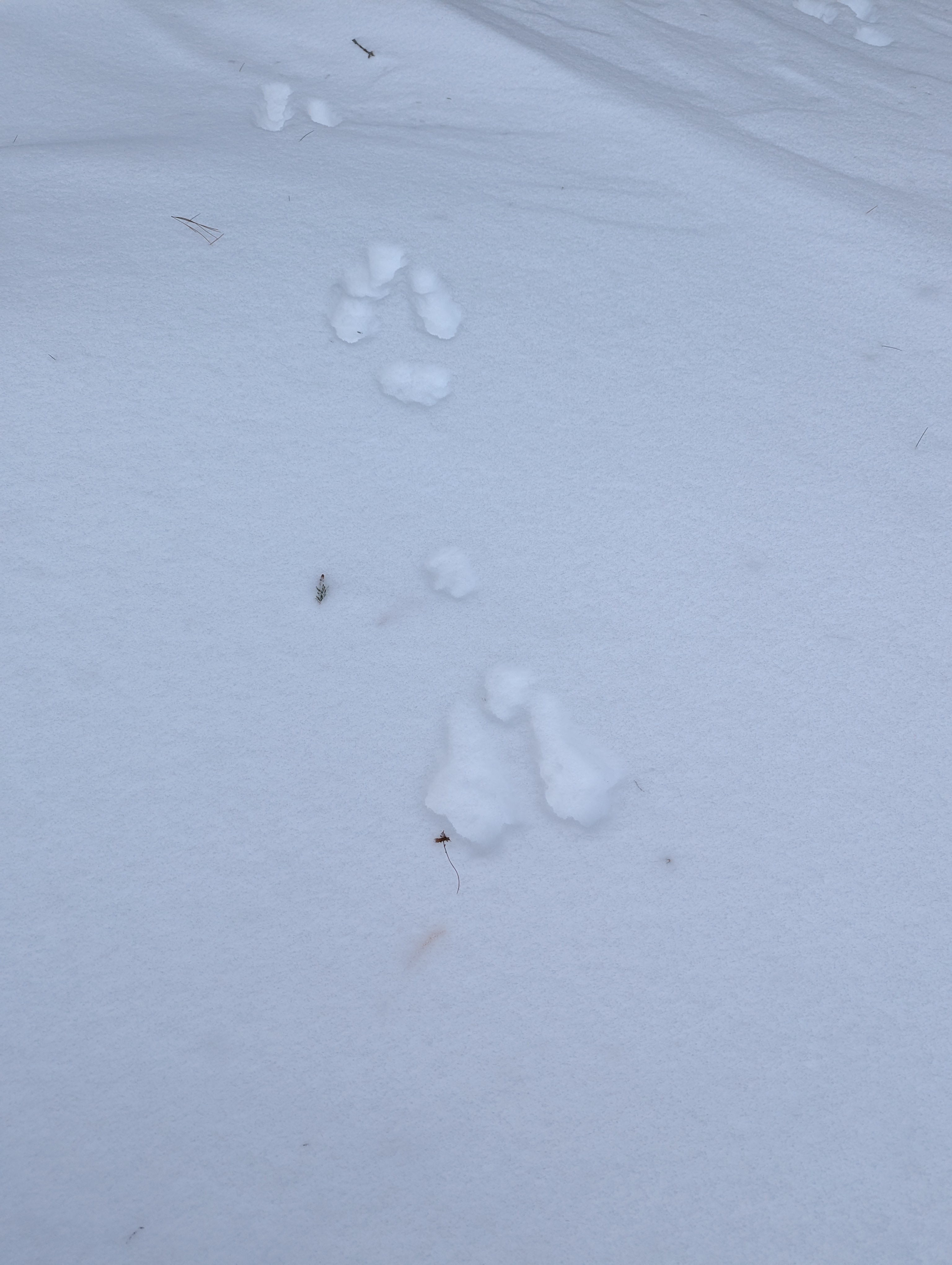 Stuck in the snow on my way to the shooting range - what a day!