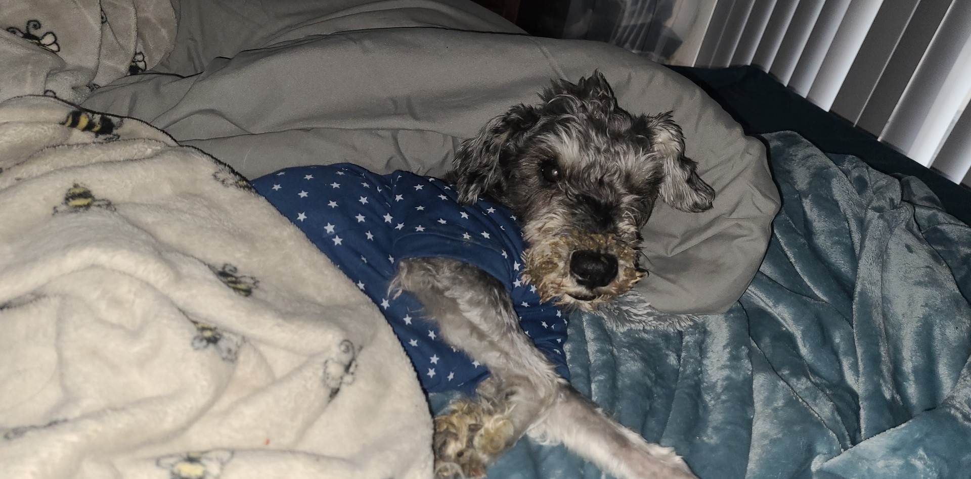 Elvis Rocking Cozy Sweaters