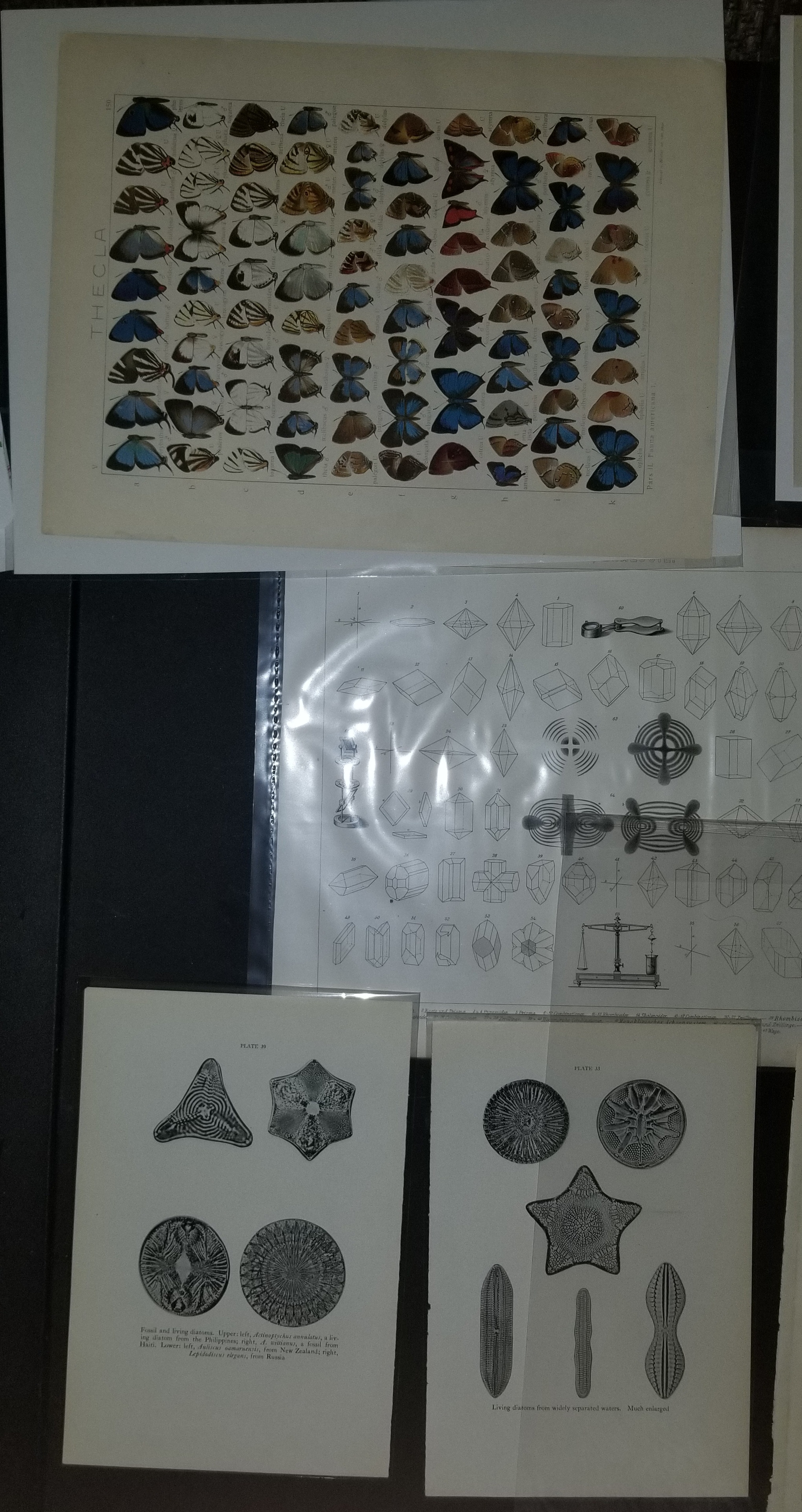 Exploring the Beauty of Vintage and Antique Science Prints