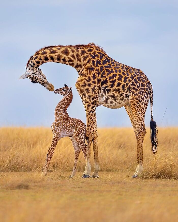 The Art of Long Kisses