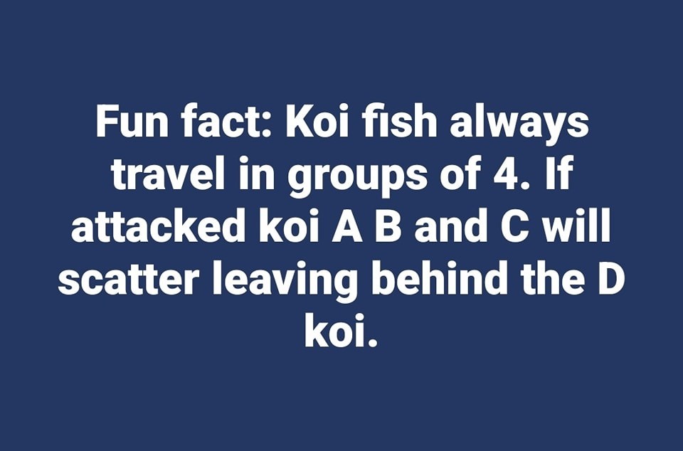 Now You’re In the Know