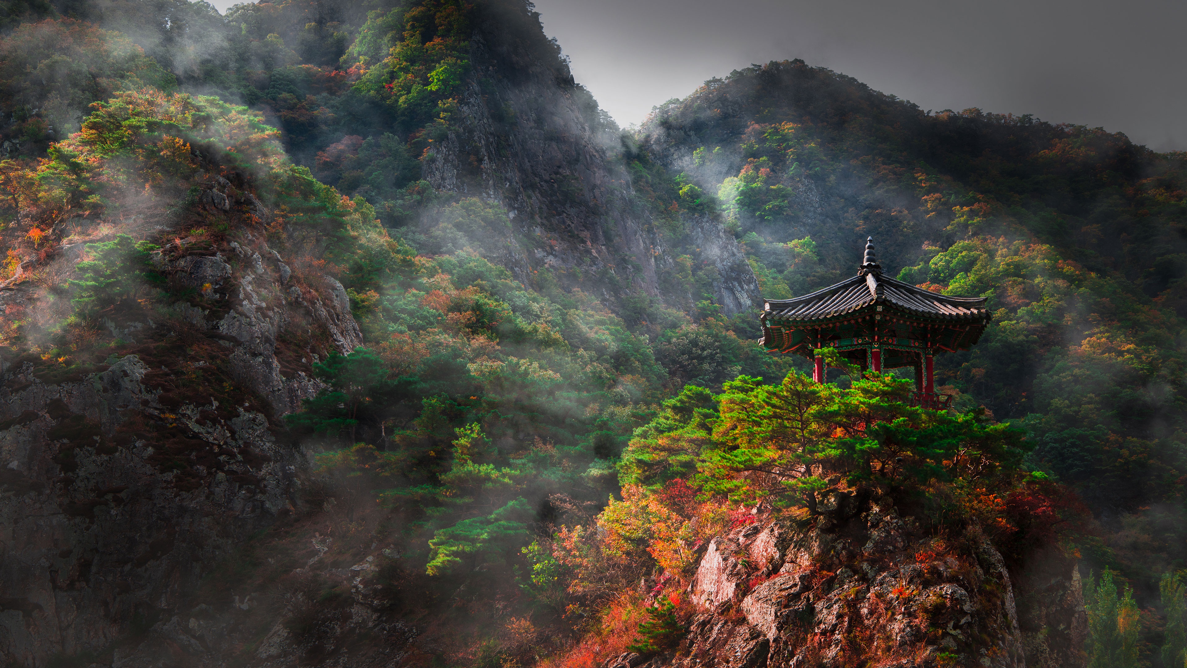 A Mysterious Foggy Autumn Day