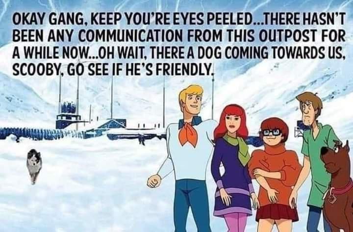 Take a look at this, Scooby!