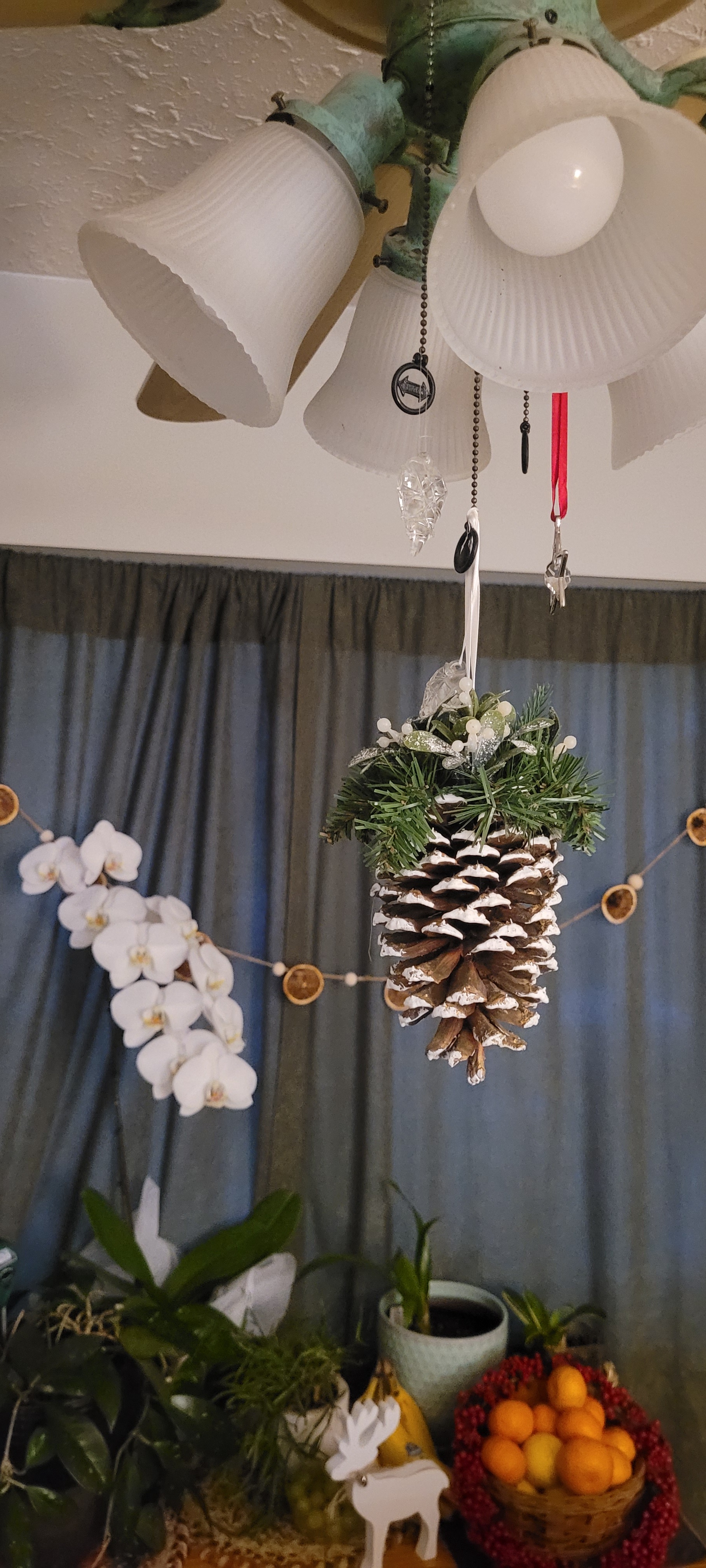 Join Team Pinecone: Because Who Needs Acorns Anyway?