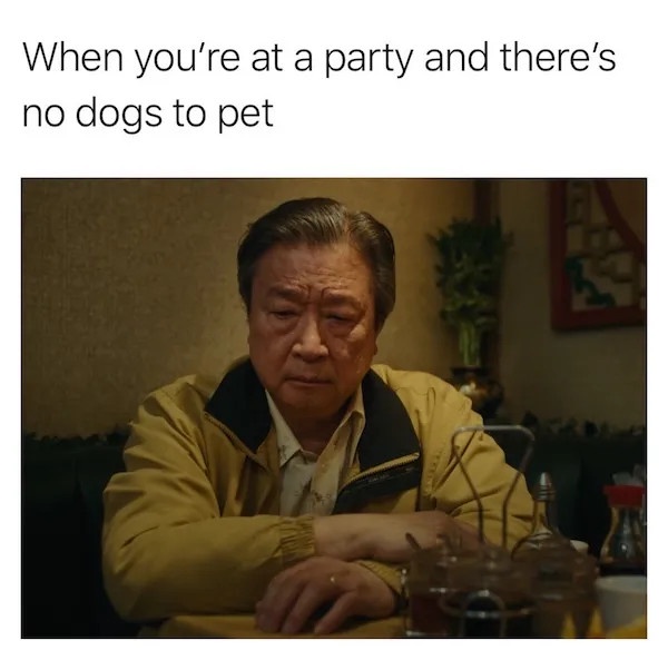 What About Cats? They Deserve Some Love Too!