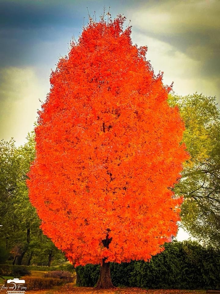 Embracing the Beauty of Autumn