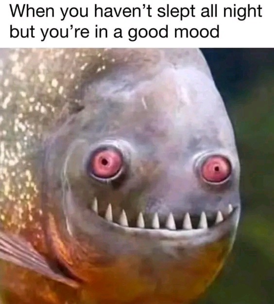 Another Round of 39 Recycled Memes to Enjoy