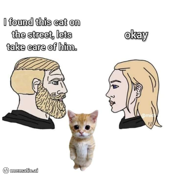 When the cat decides you are the chosen one!