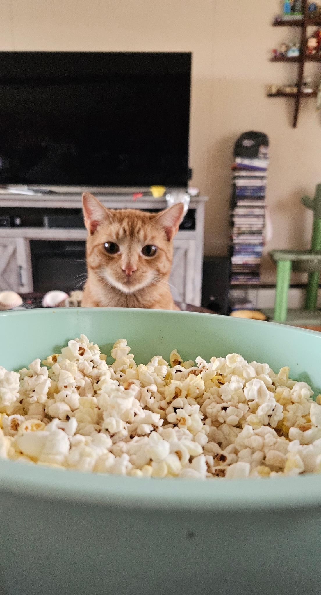 Chuck's Intense Stare at the Popcorn: A Moment Captured