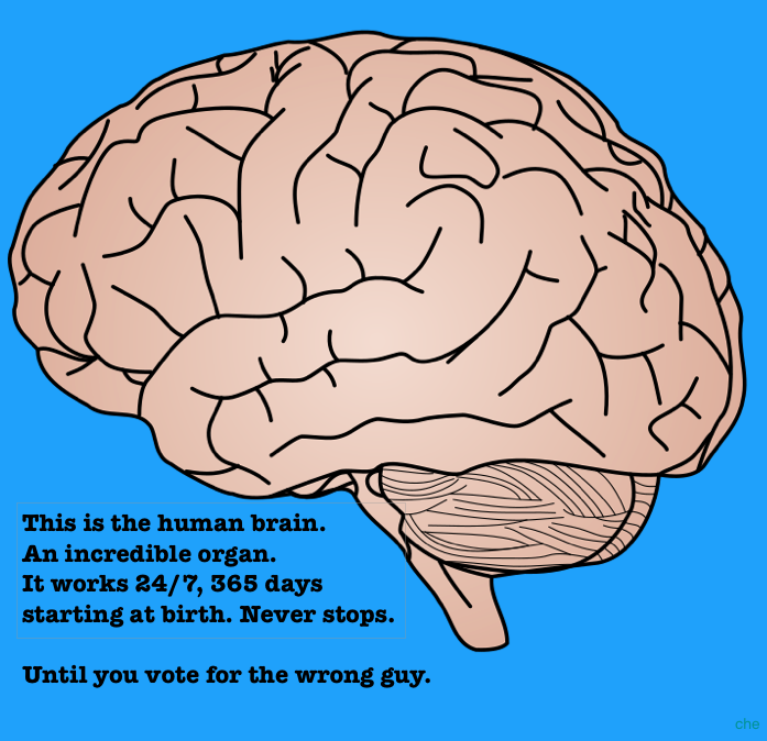 Don't Waste Your Mind's Potential