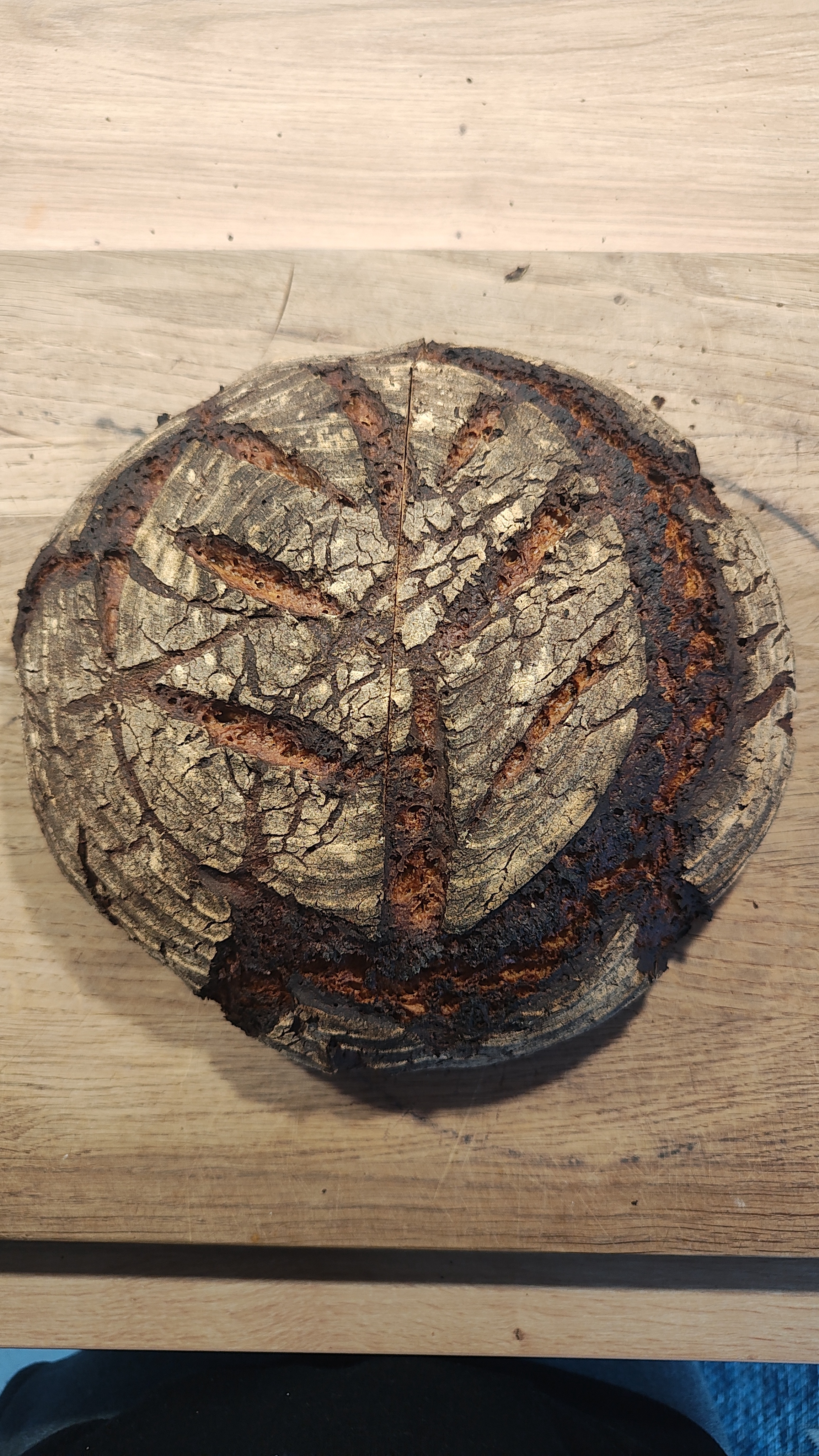 The Art of Sourdough Rye Bread