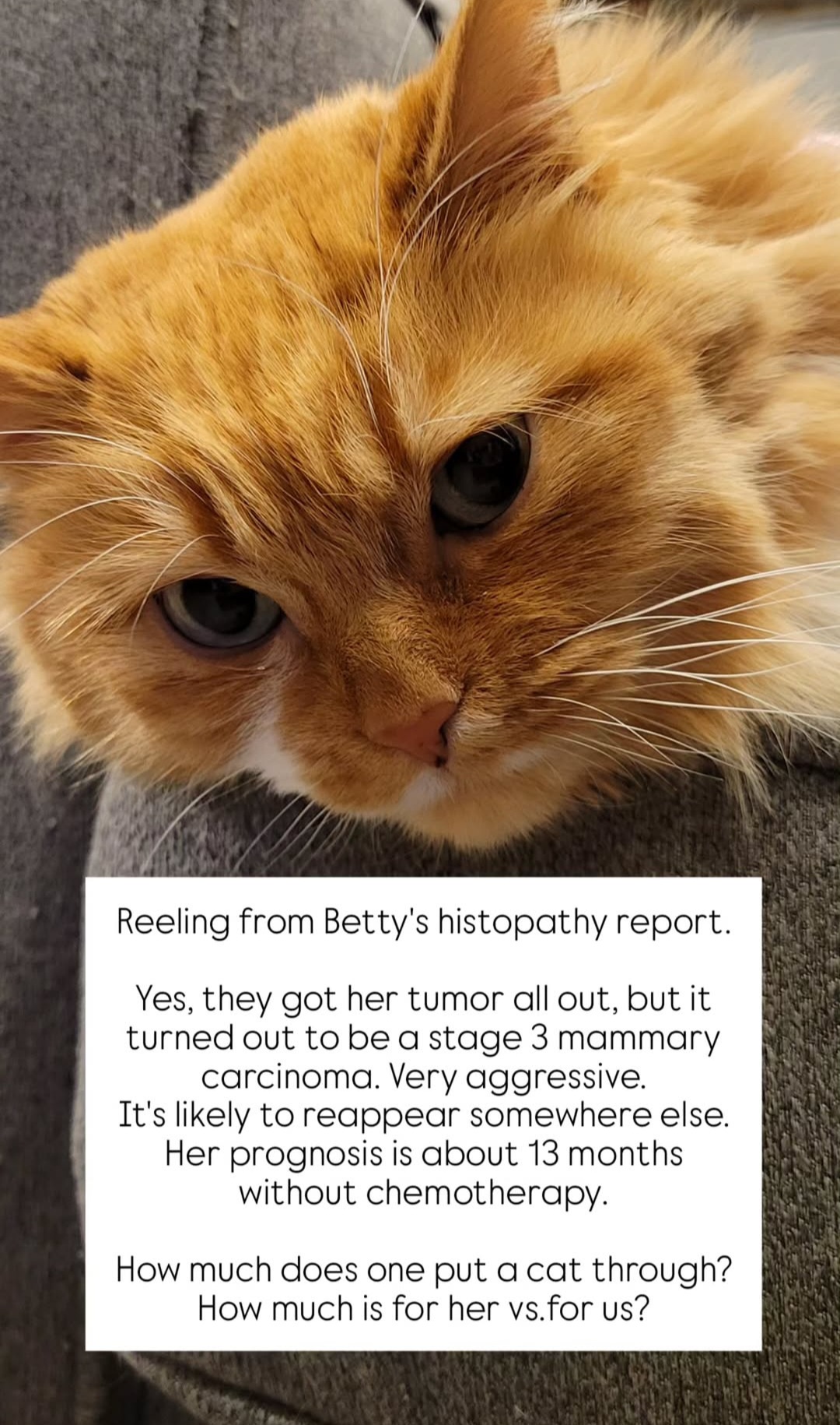 Heartbreaking News: Cherishing Every Moment Together