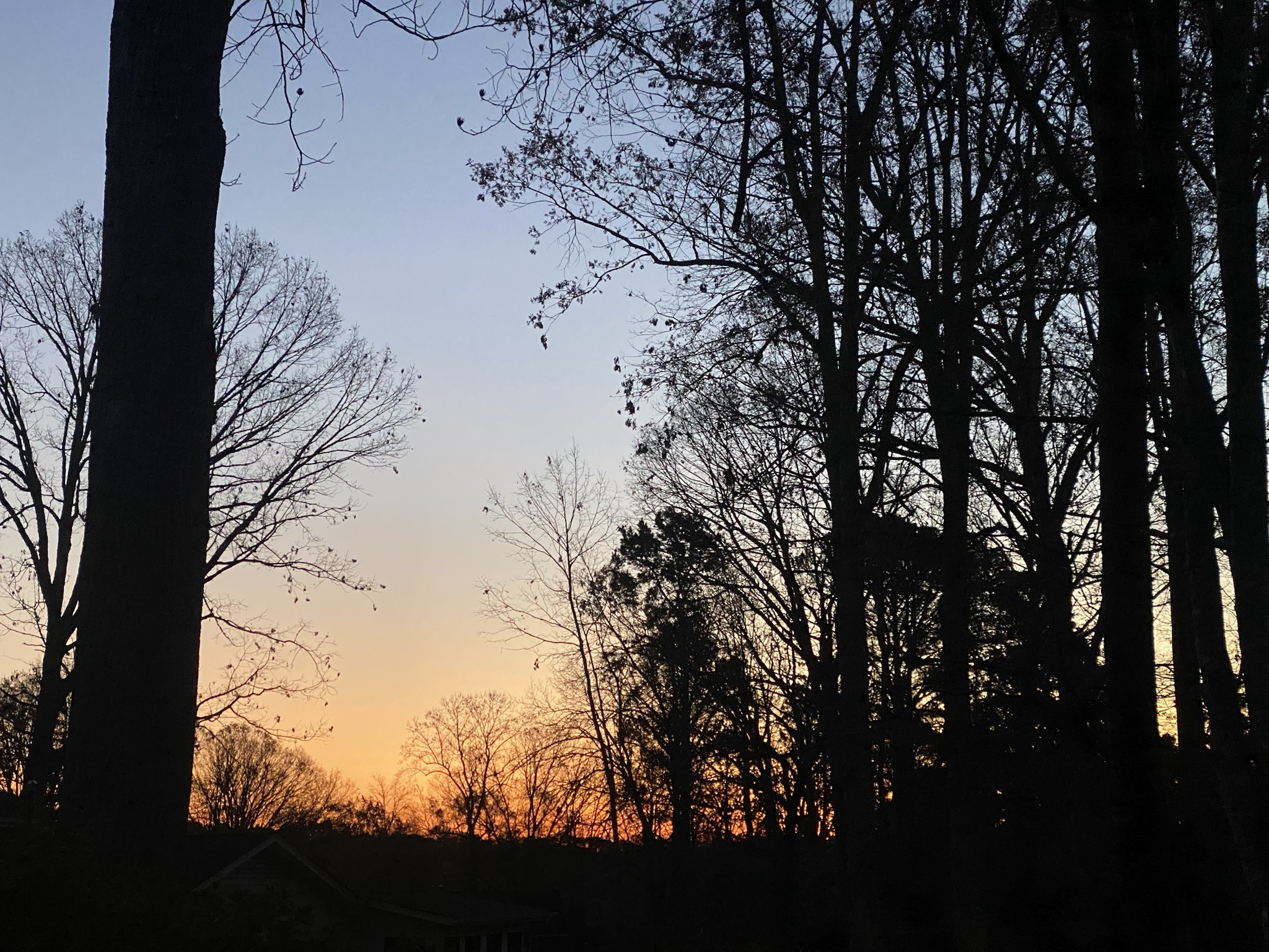 A Cheerful Good Morning from Durham!