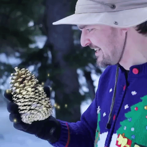 That moment I wake up to discover I'm on Team Pinecone...