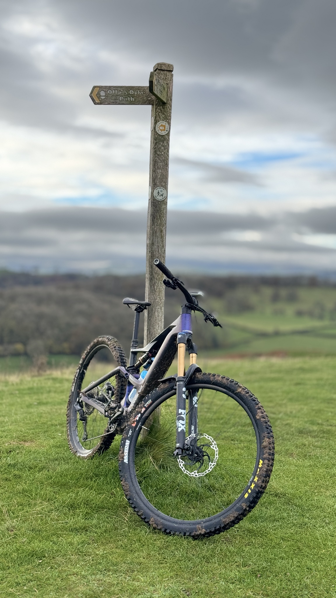 Epic Bike Adventures Await