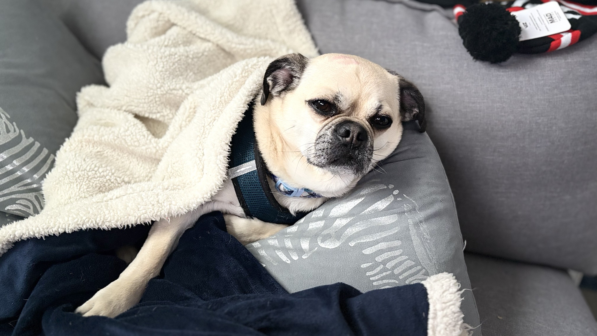 Embracing the warmth of cozy days.