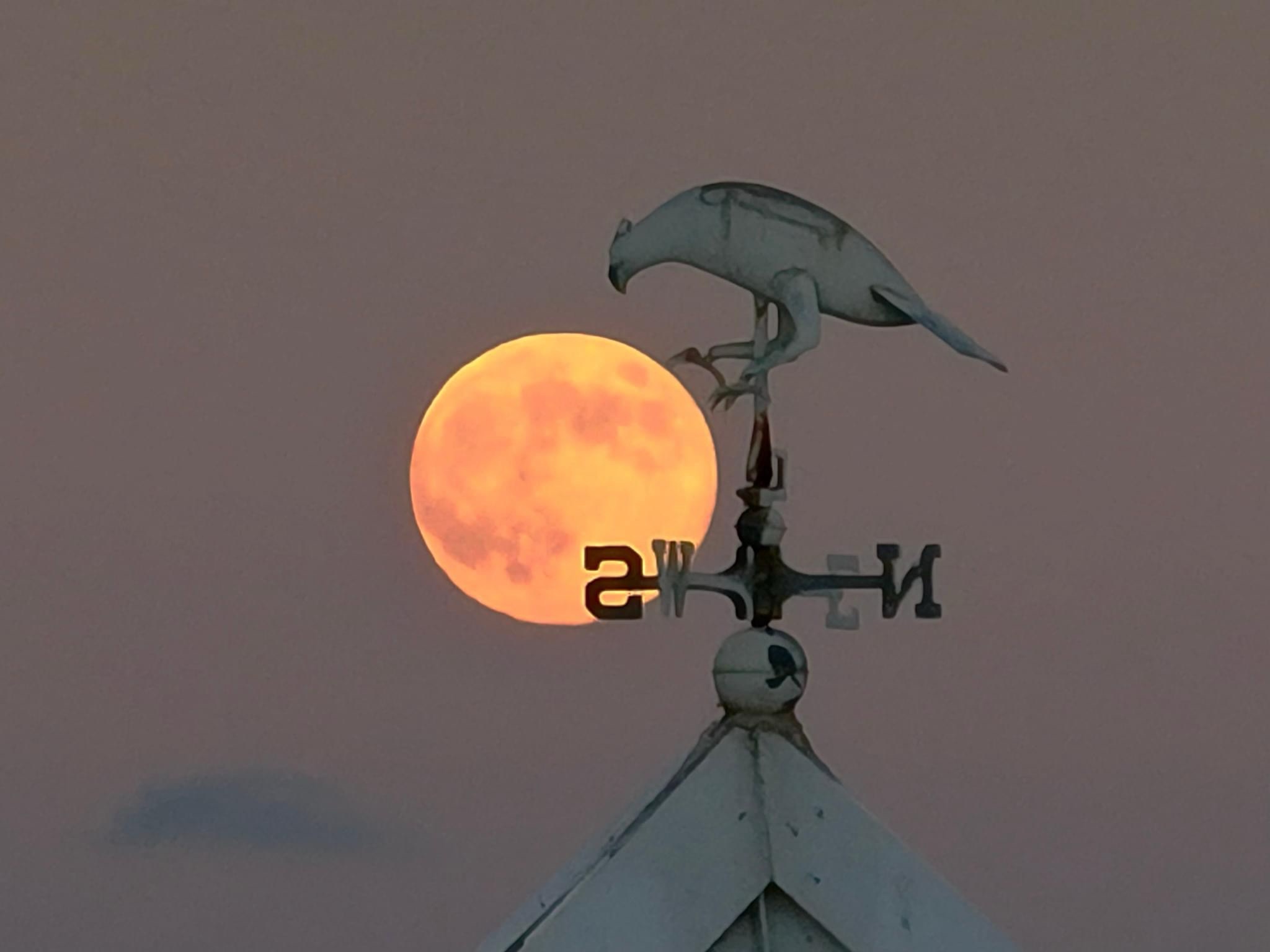 Beaver Moon: A Celestial Wonder
