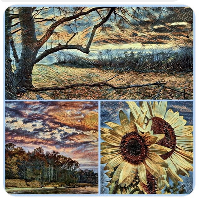 Embracing the beauty of autumn!