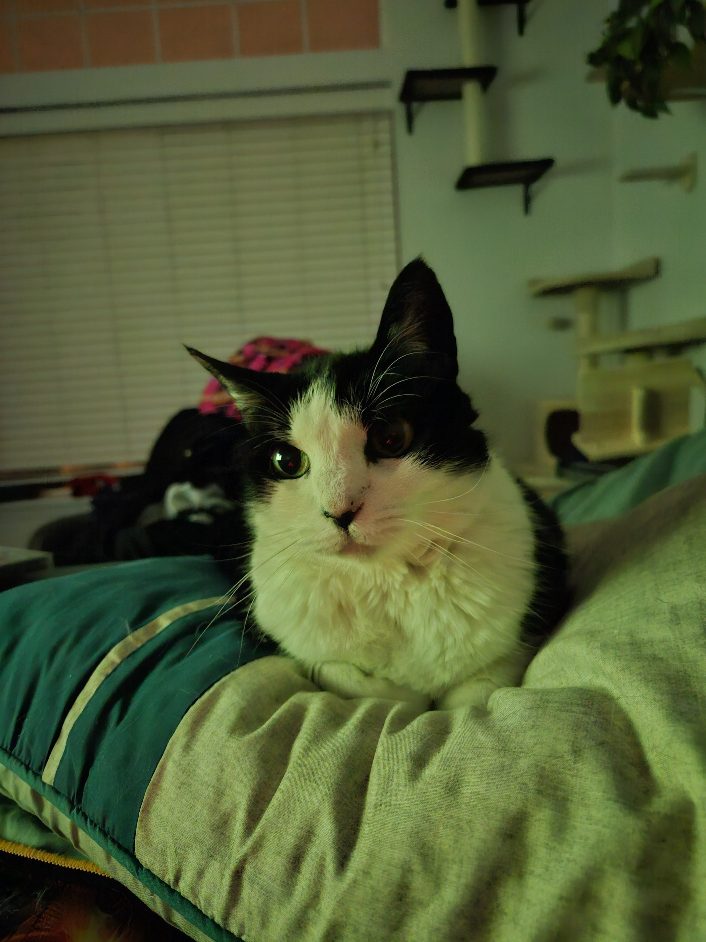 She's Determined to Keep Me from Leaving