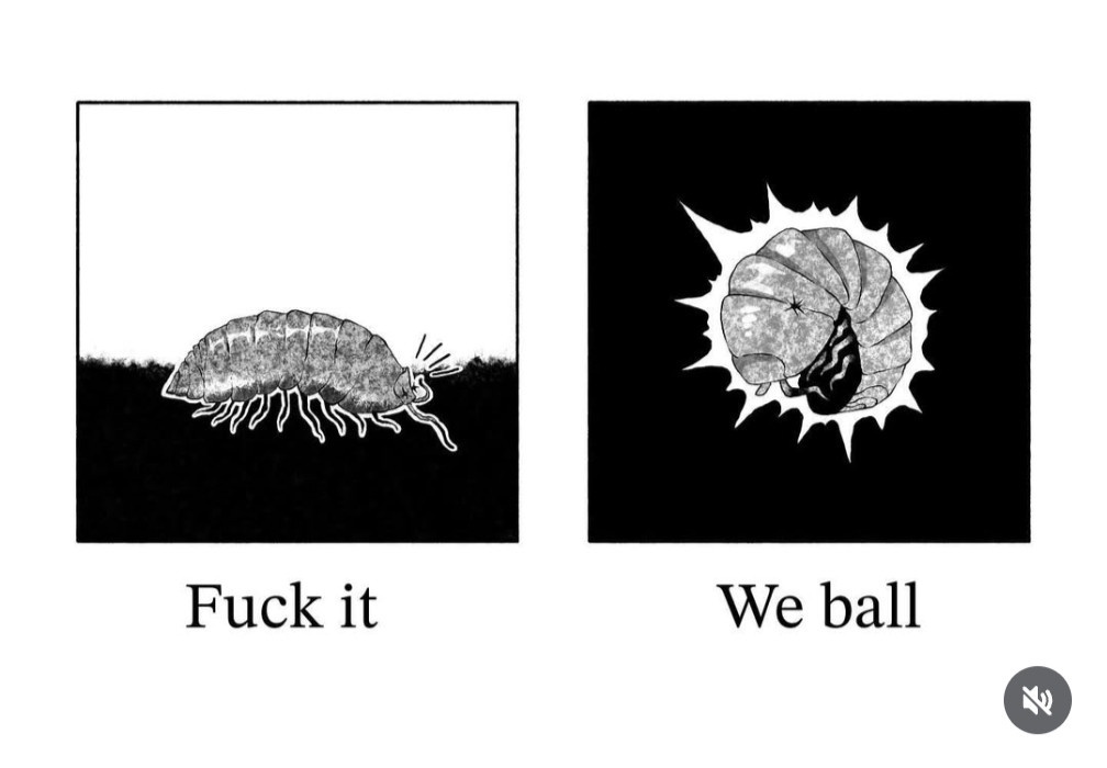 The Epic Comeback of the Meme: Wormhole Pub Edition
