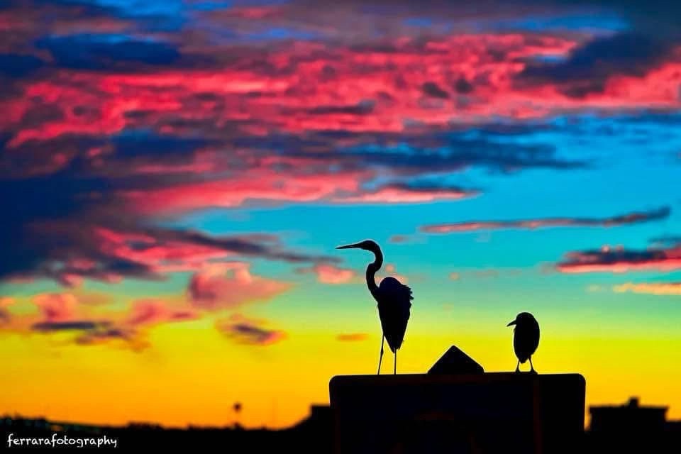 Exploring the beauty of silhouettes