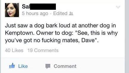 Seriously, Dave, What Were You Thinking?