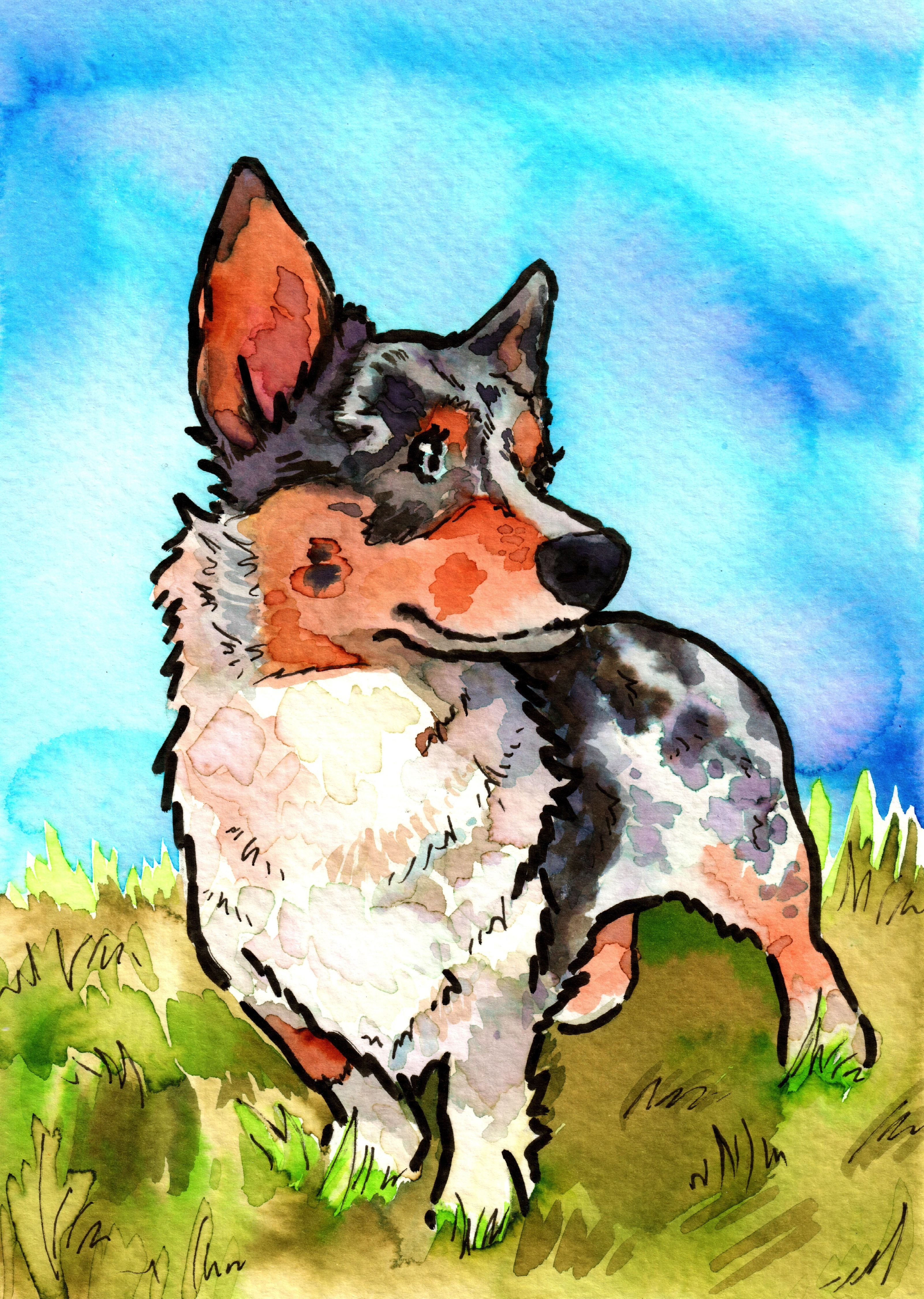 I create a corgi masterpiece every day! Meet Blue.