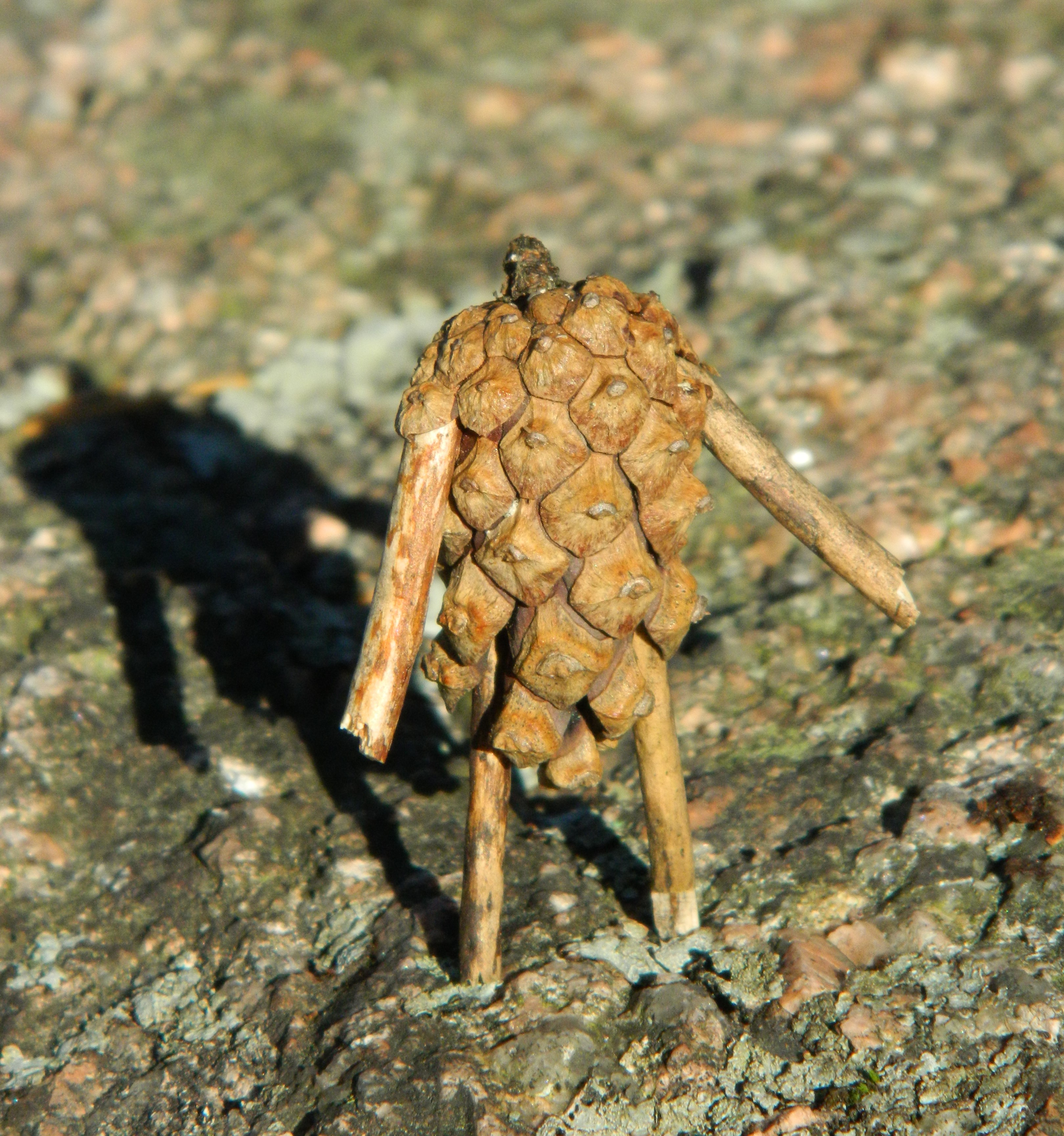 Wait, Are Acorns Actually Winning?