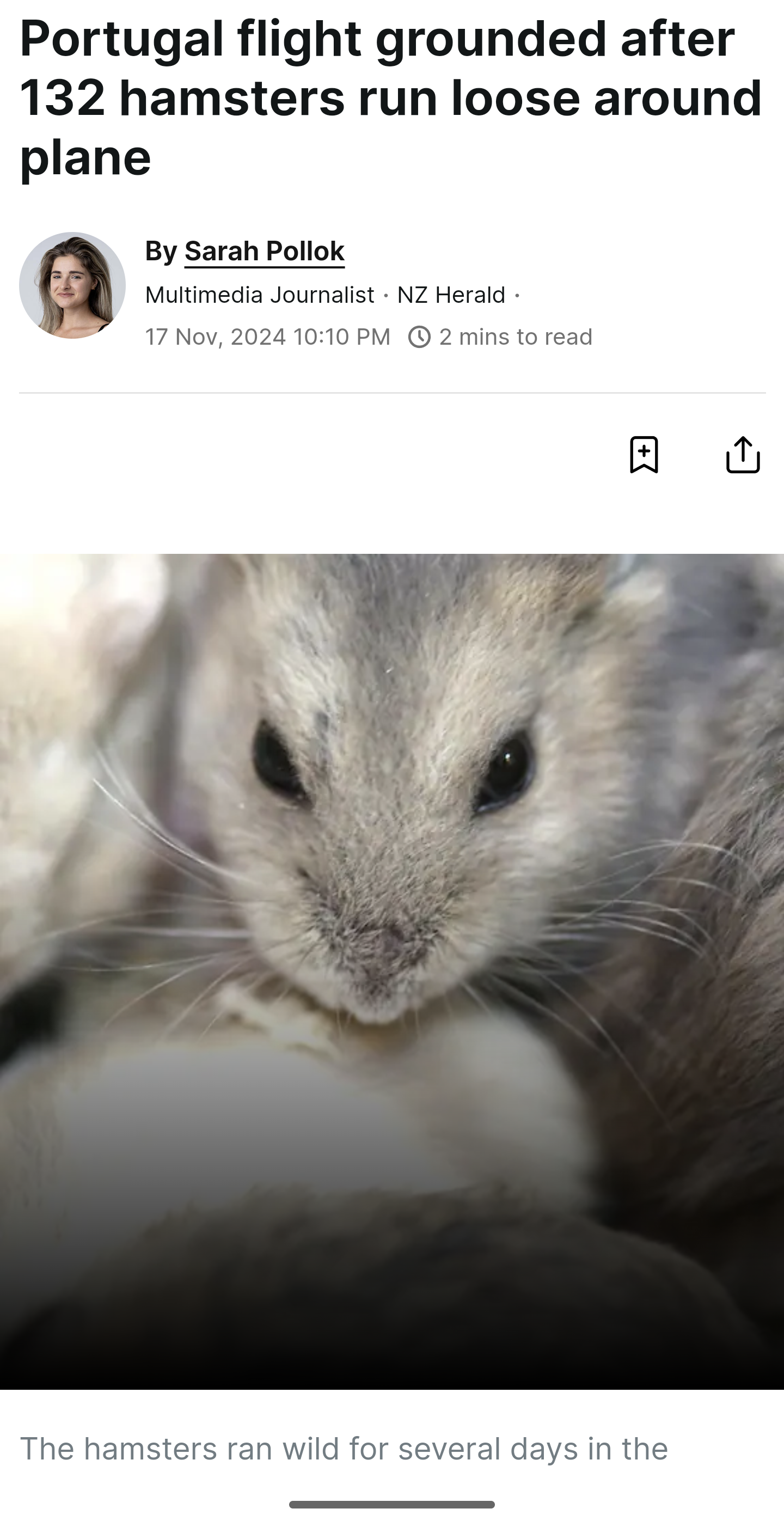 The Epic Journey of the Hamsters Takes Flight