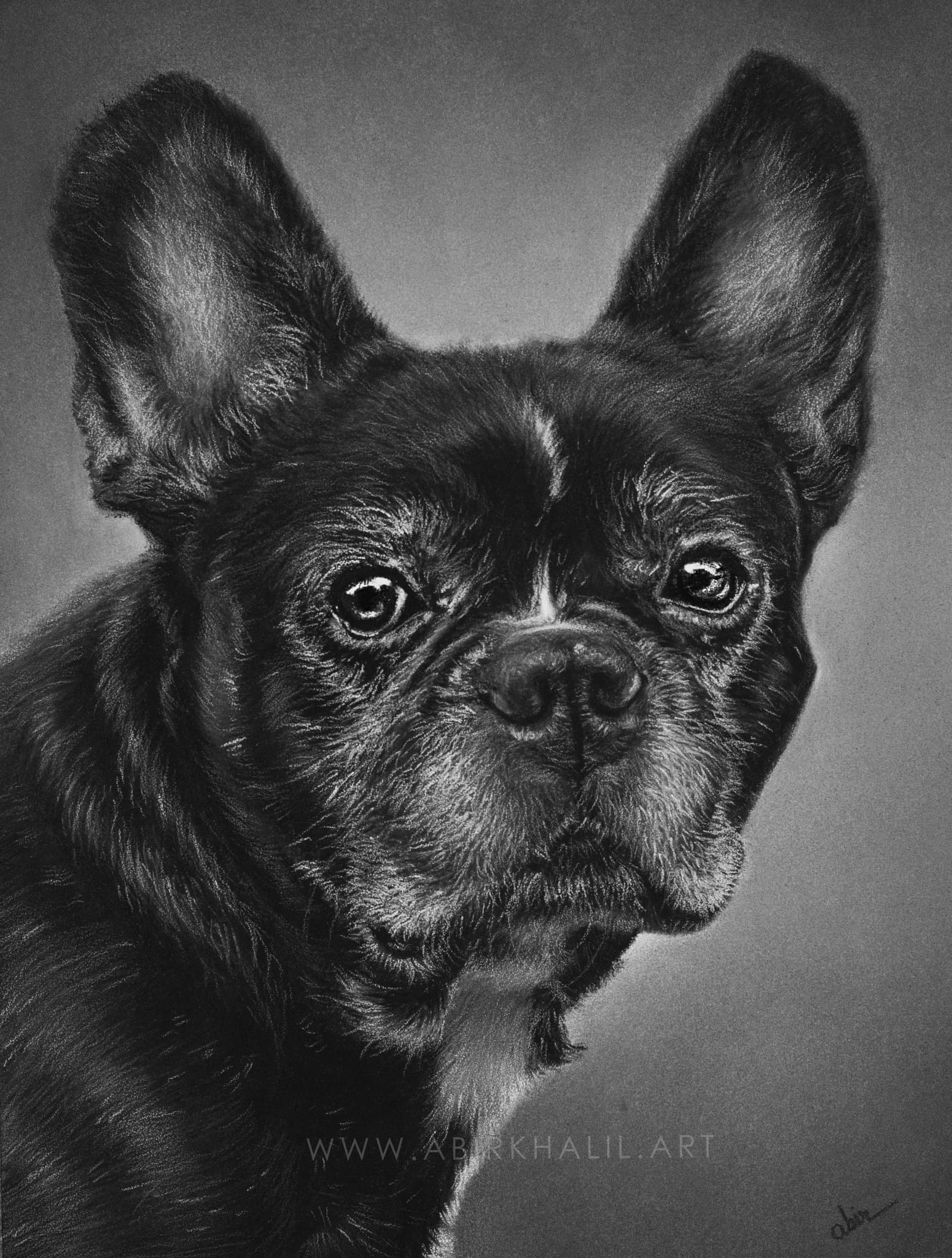 A charming pet portrait drawing of Emmi.