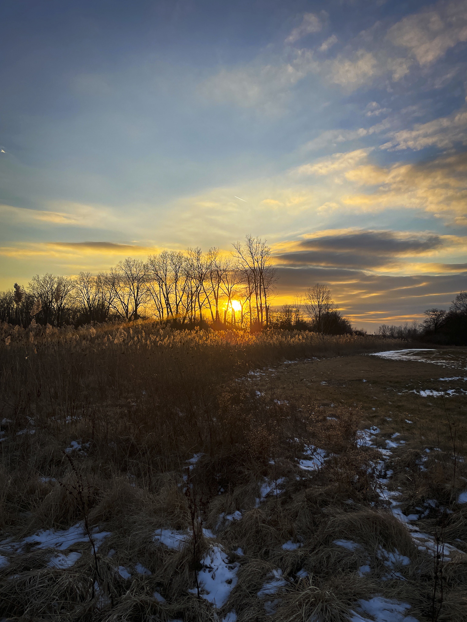 Last Night's Stunning Sunset in Michigan