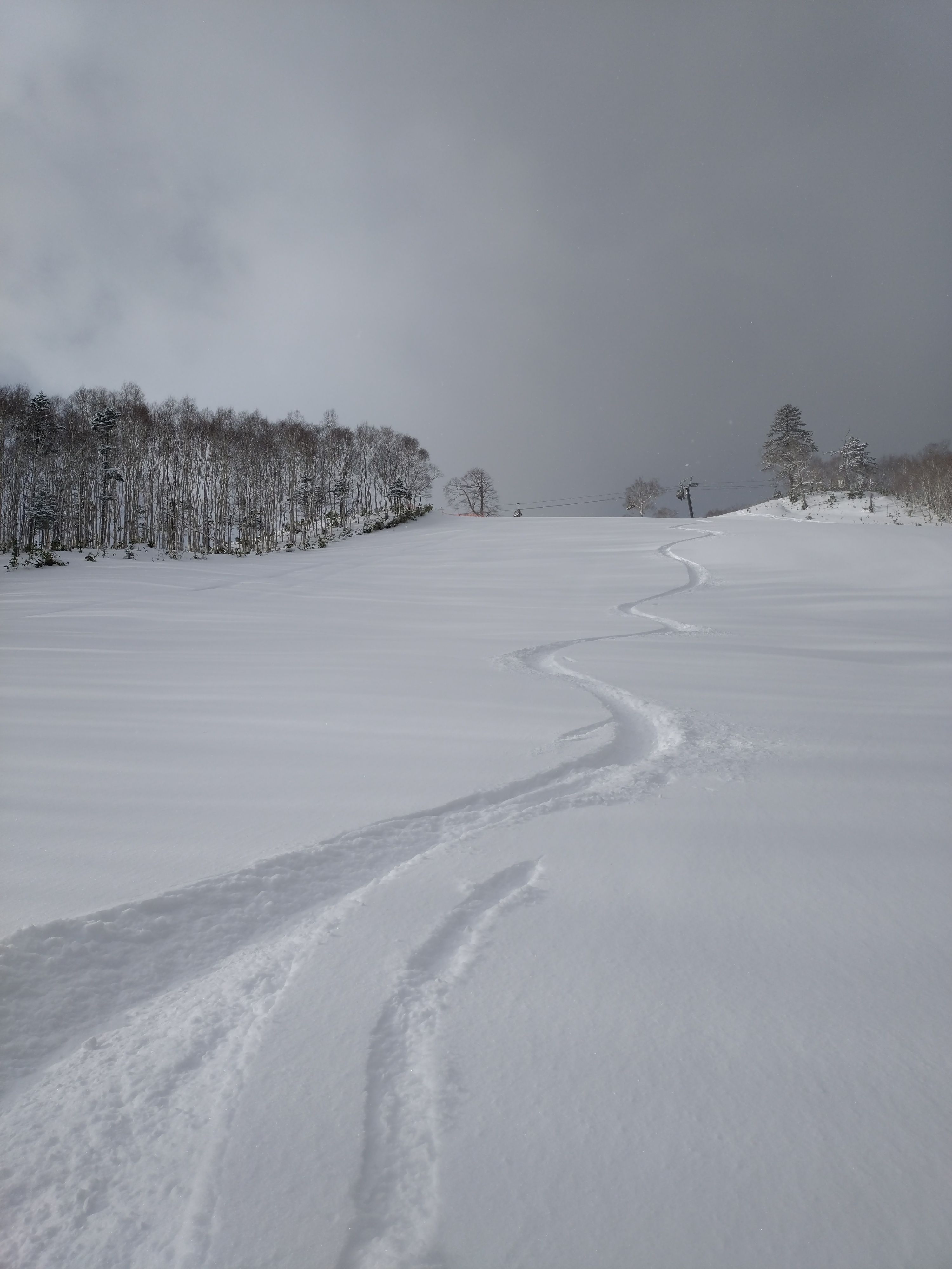 The First Track: A Journey Begins