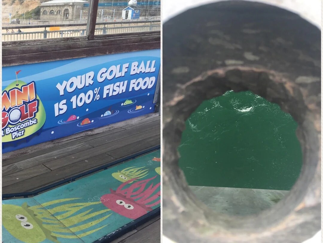 Britain's Unique Mini Golf Balls That Nourish the Fish