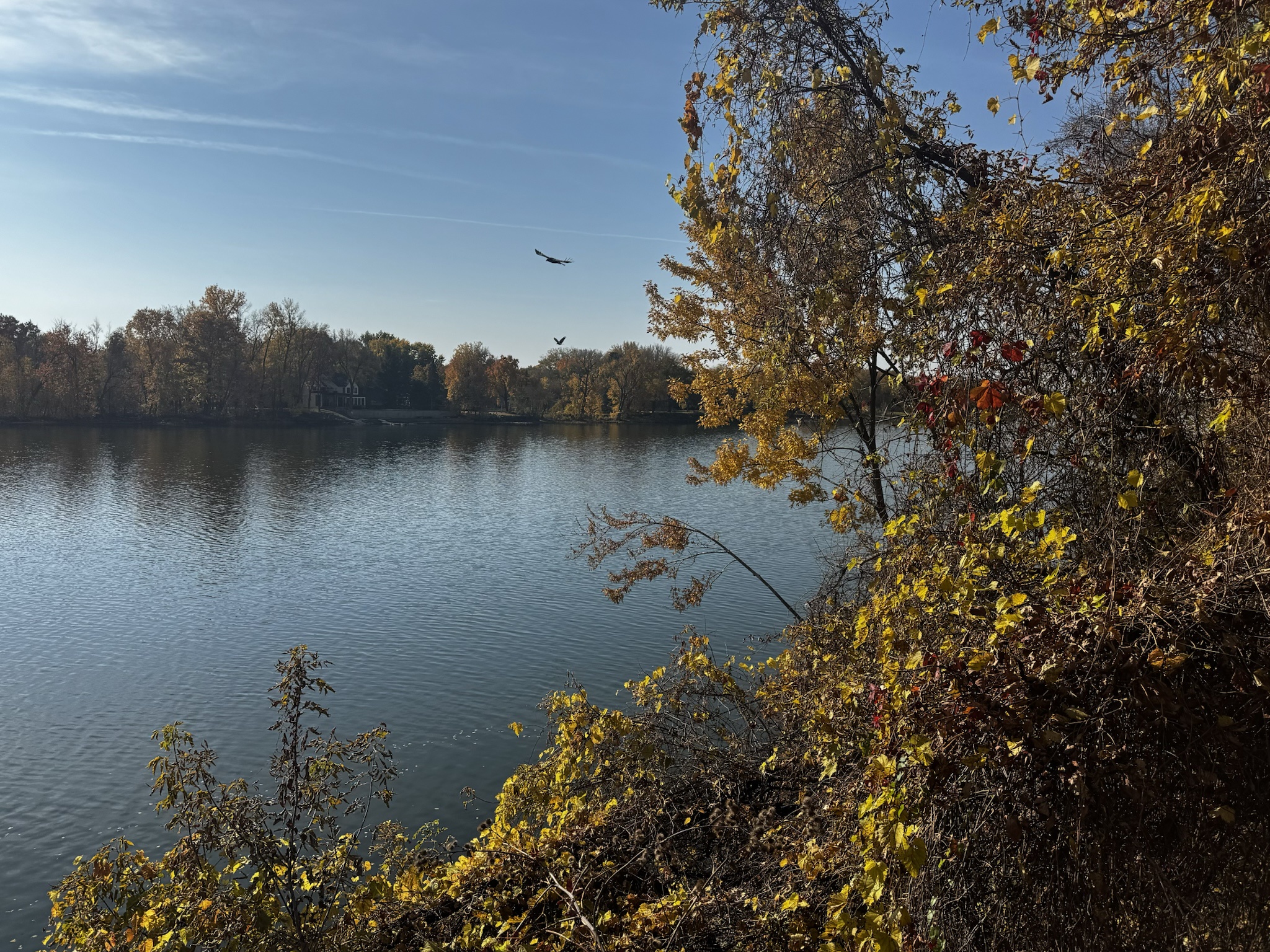 Embracing the Beauty of a Perfect Autumn Day