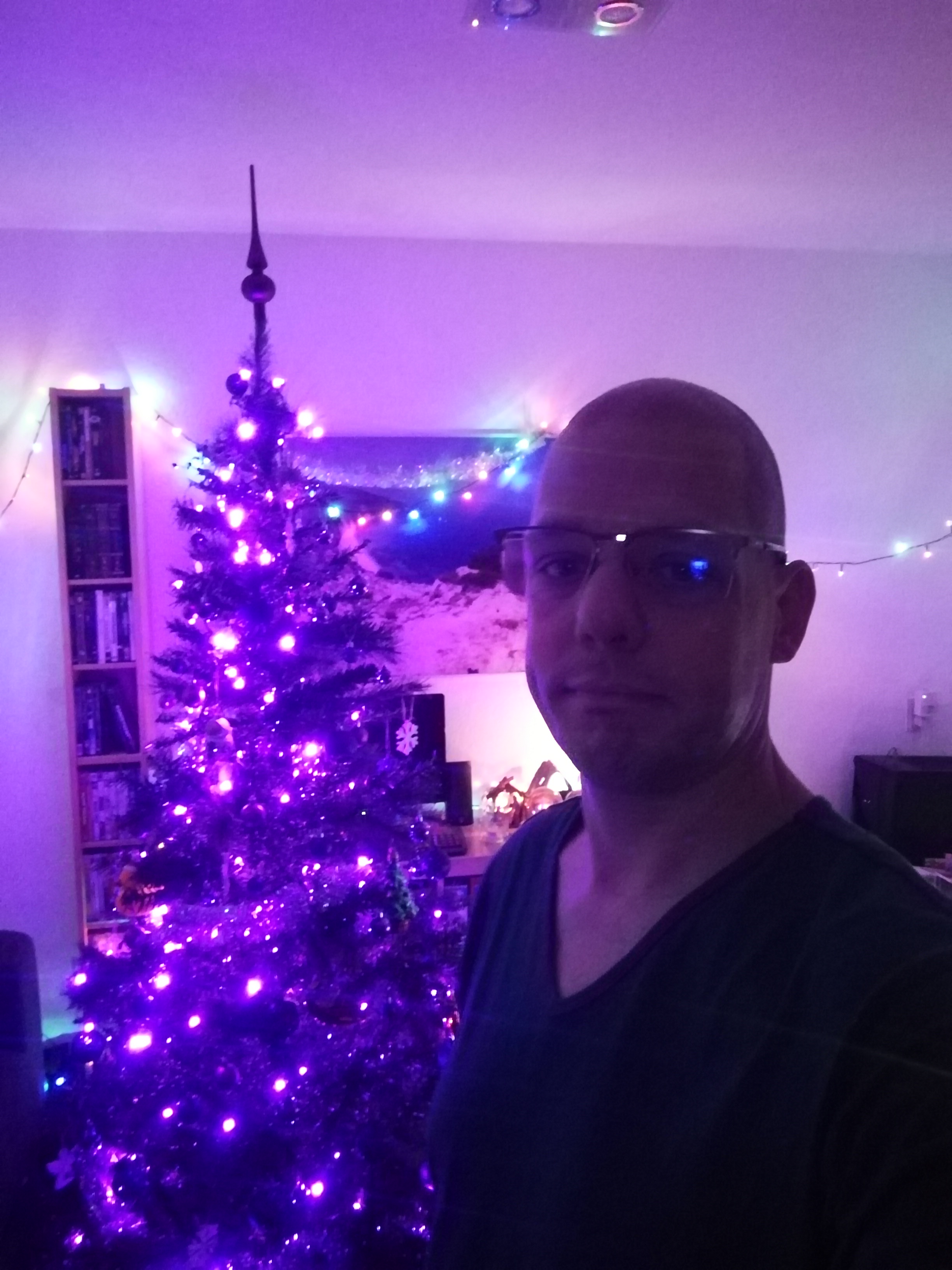 Merry Christmas Greetings from the Netherlands!