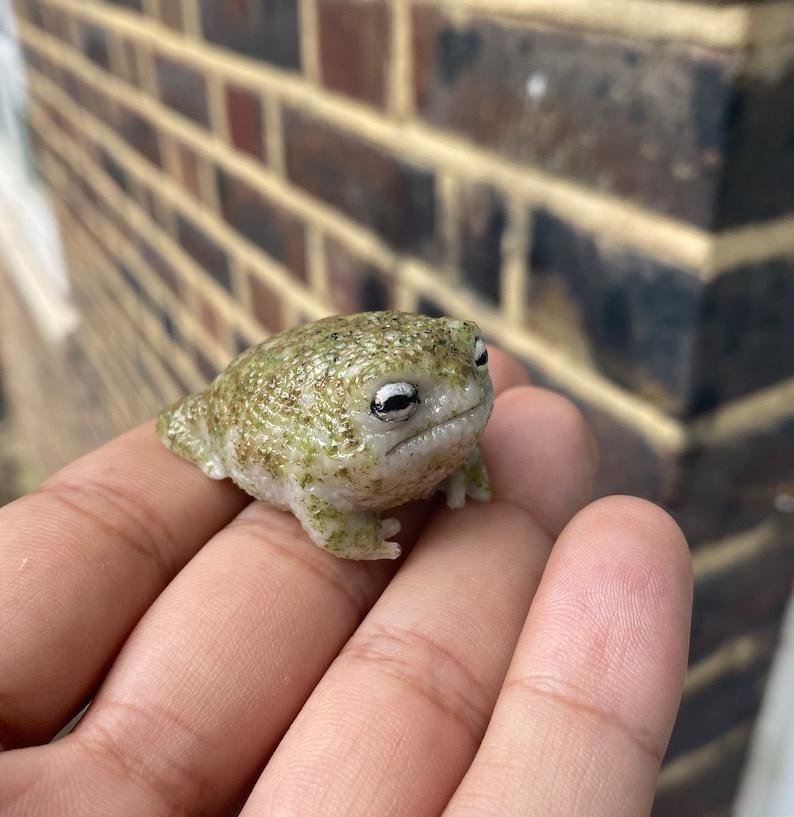 FROGDUMPNINE: Beneath the Shadow of the Green Frog