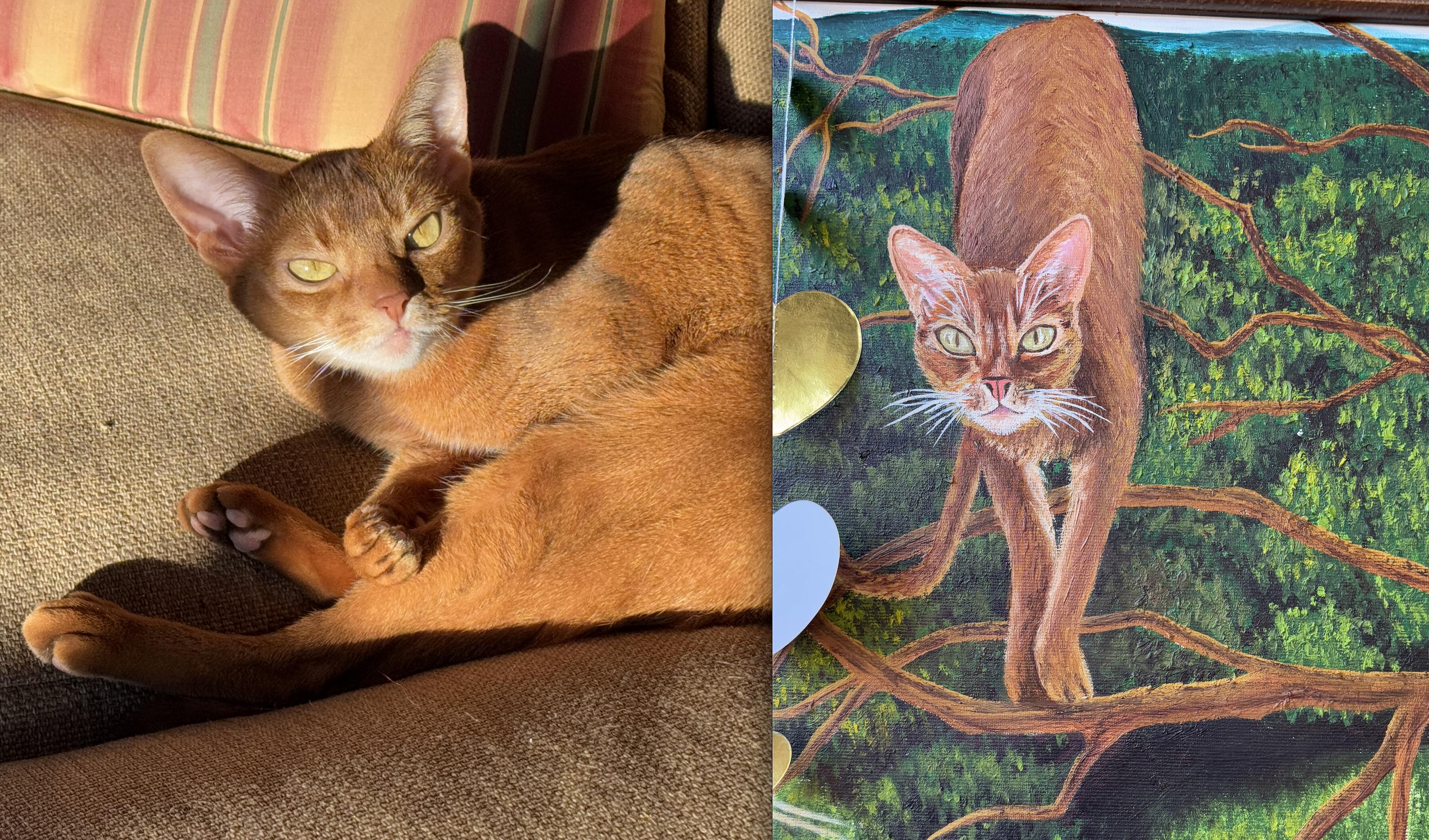 Abyssinian Cat Rusty: Live Comparison with a Reddit Artist's Painting